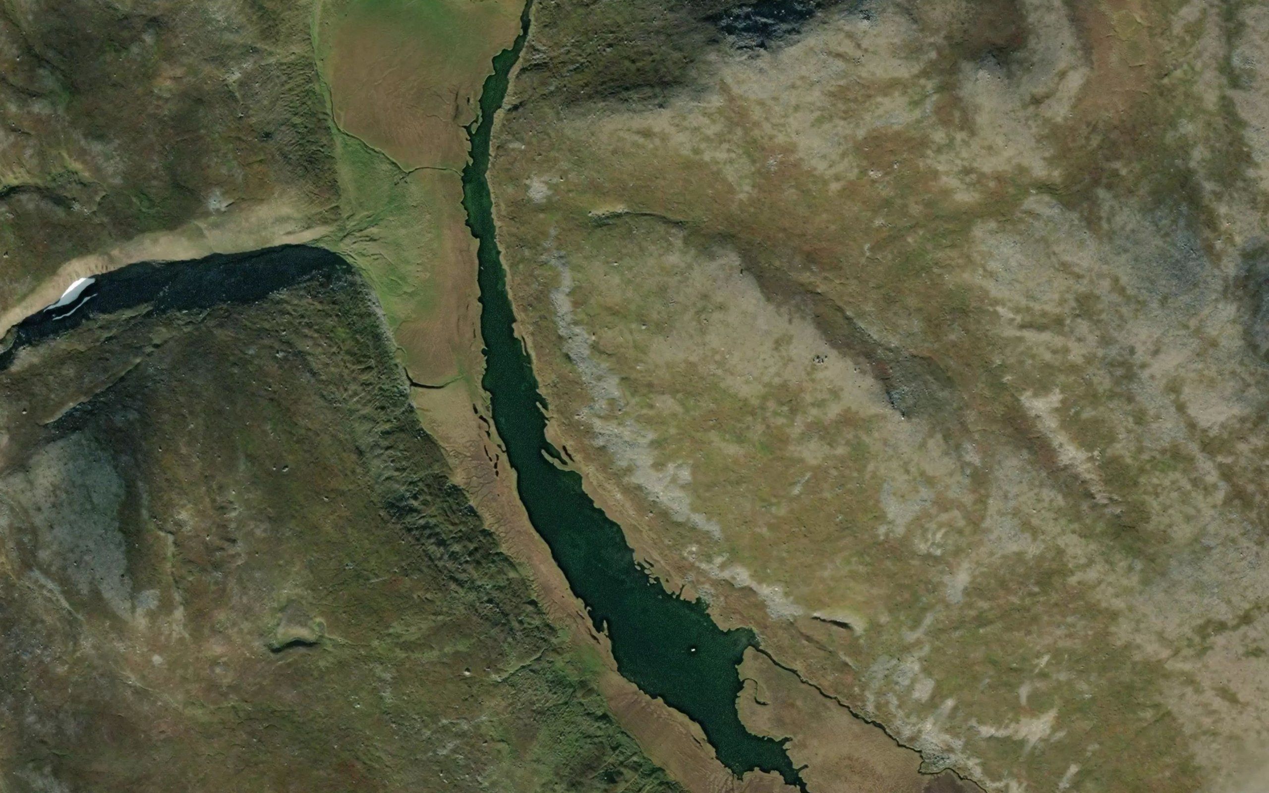Njuvcagurjavrit