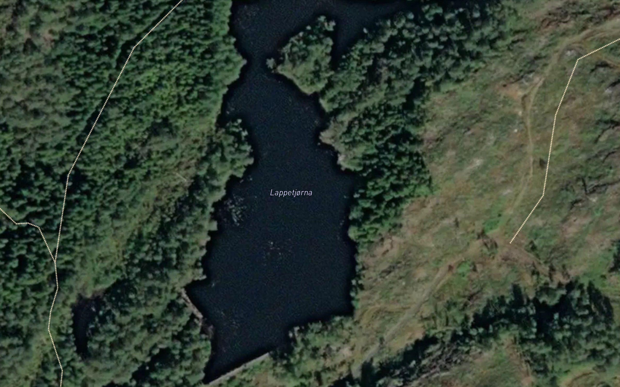 Lappetjorna