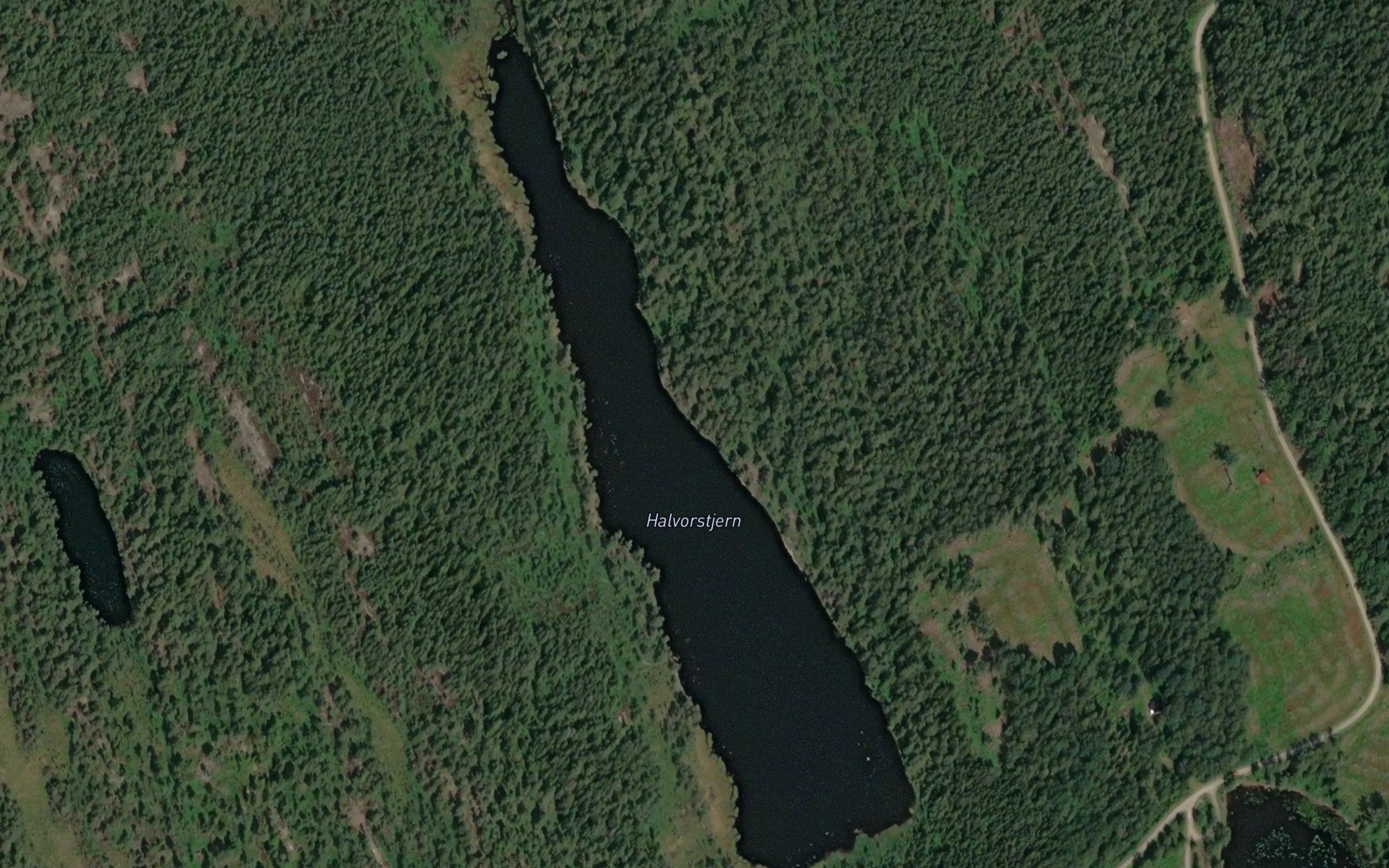 Halvorstjern