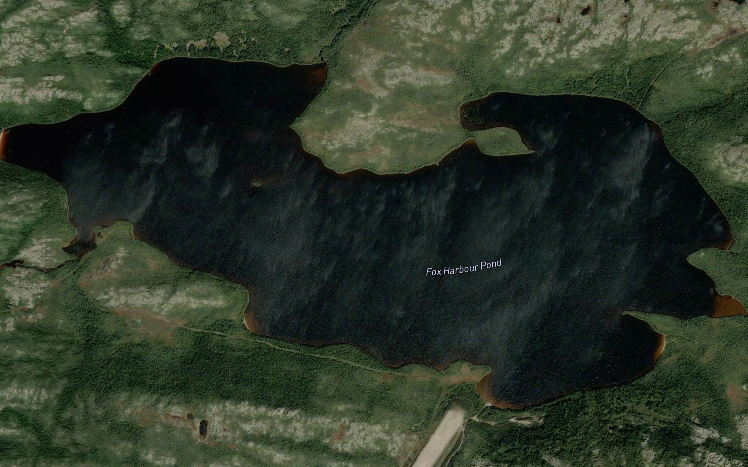 Fox Harbour Pond