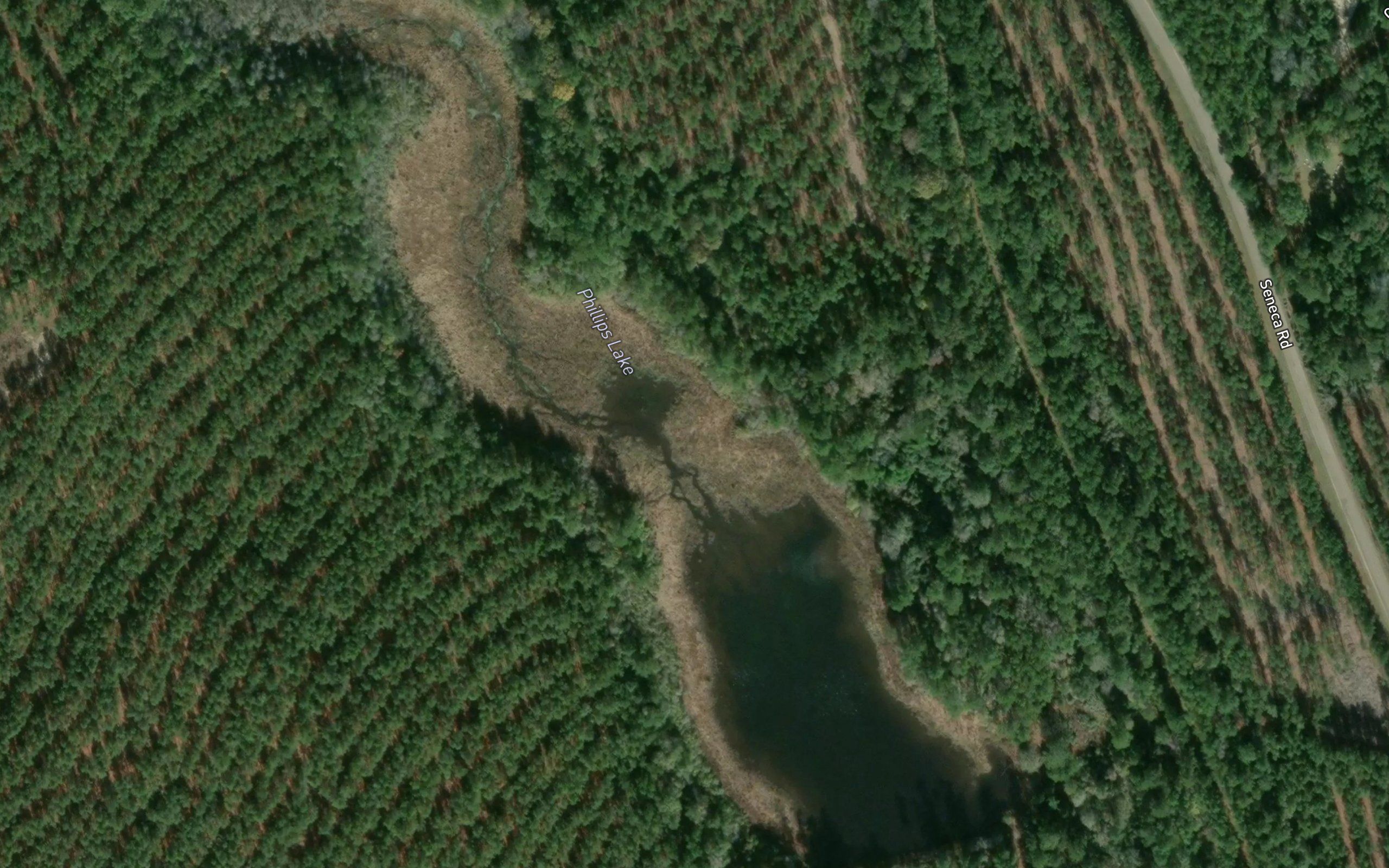 Phillips Lake