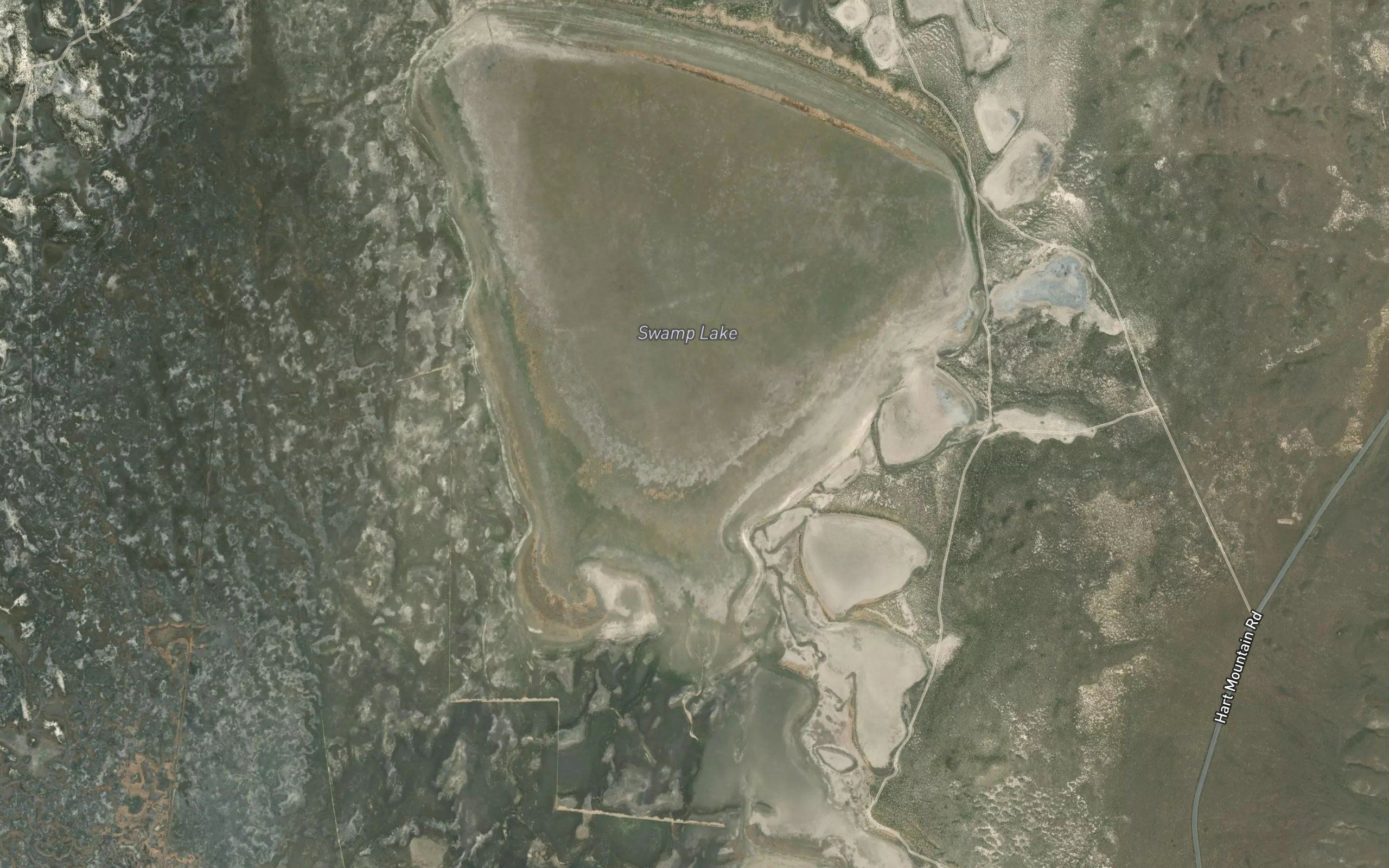 Swamp Lake