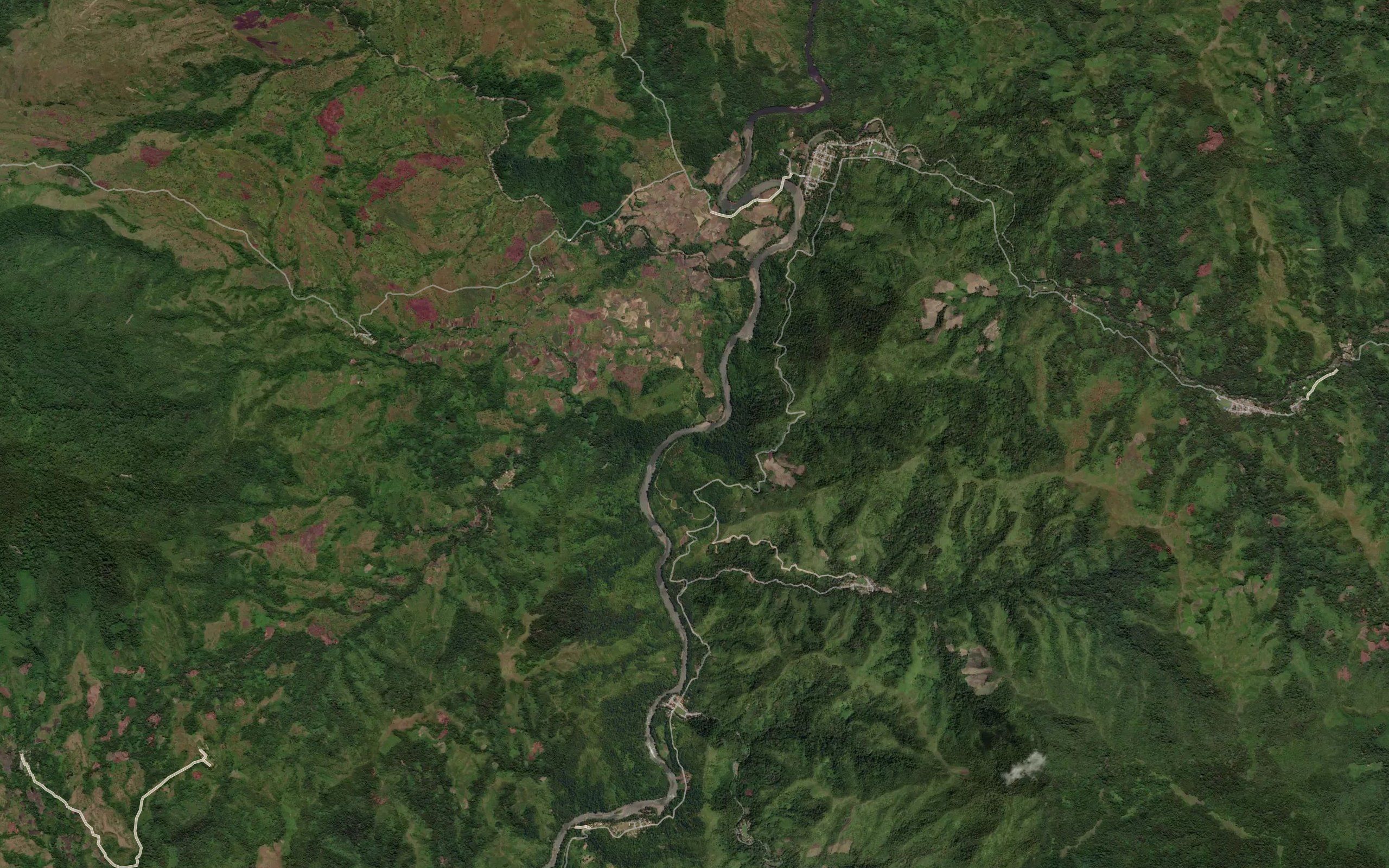 Salu Tammalose