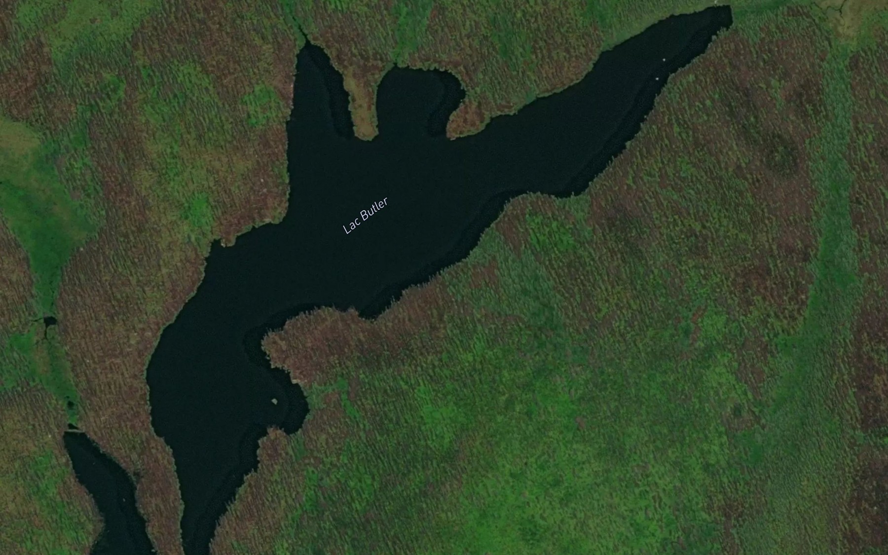 Satellite map of the Lac Butler