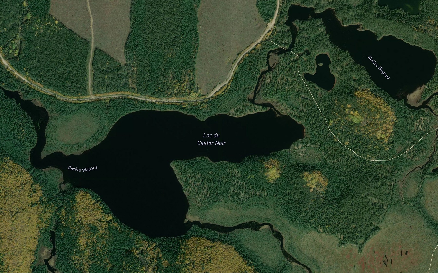 Satellite map of the Lac du Castor Noir