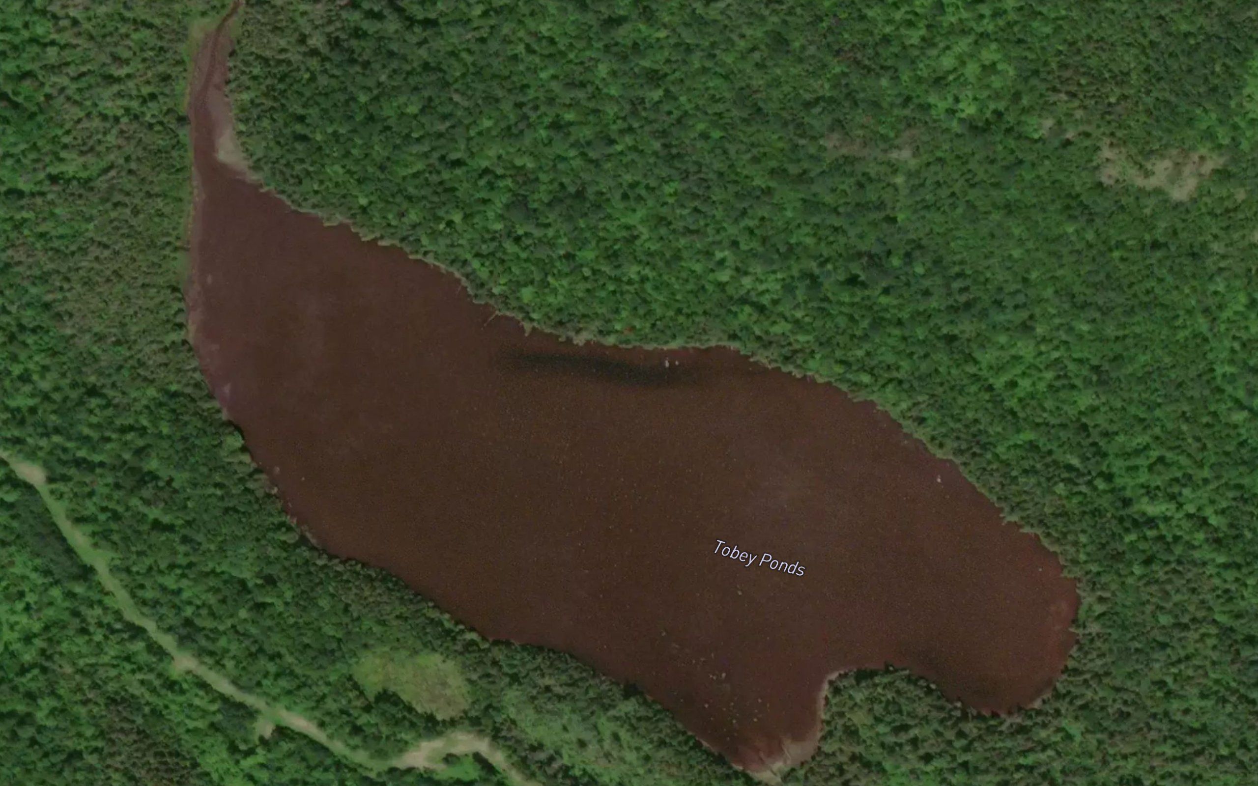 Tobey Ponds