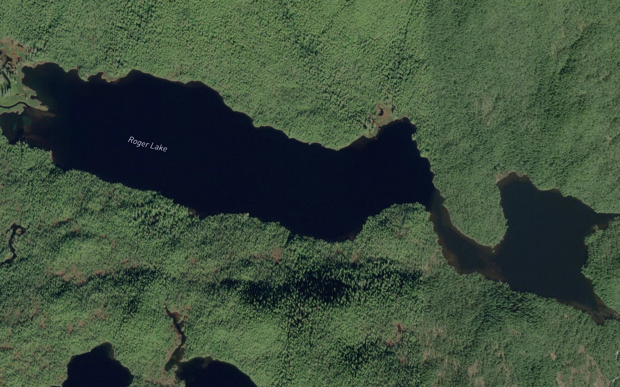 Roger Lake