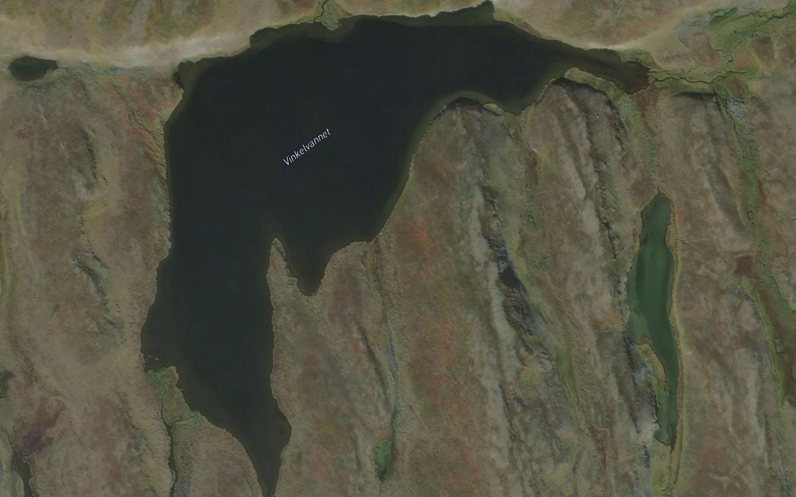 Vinkelvannet