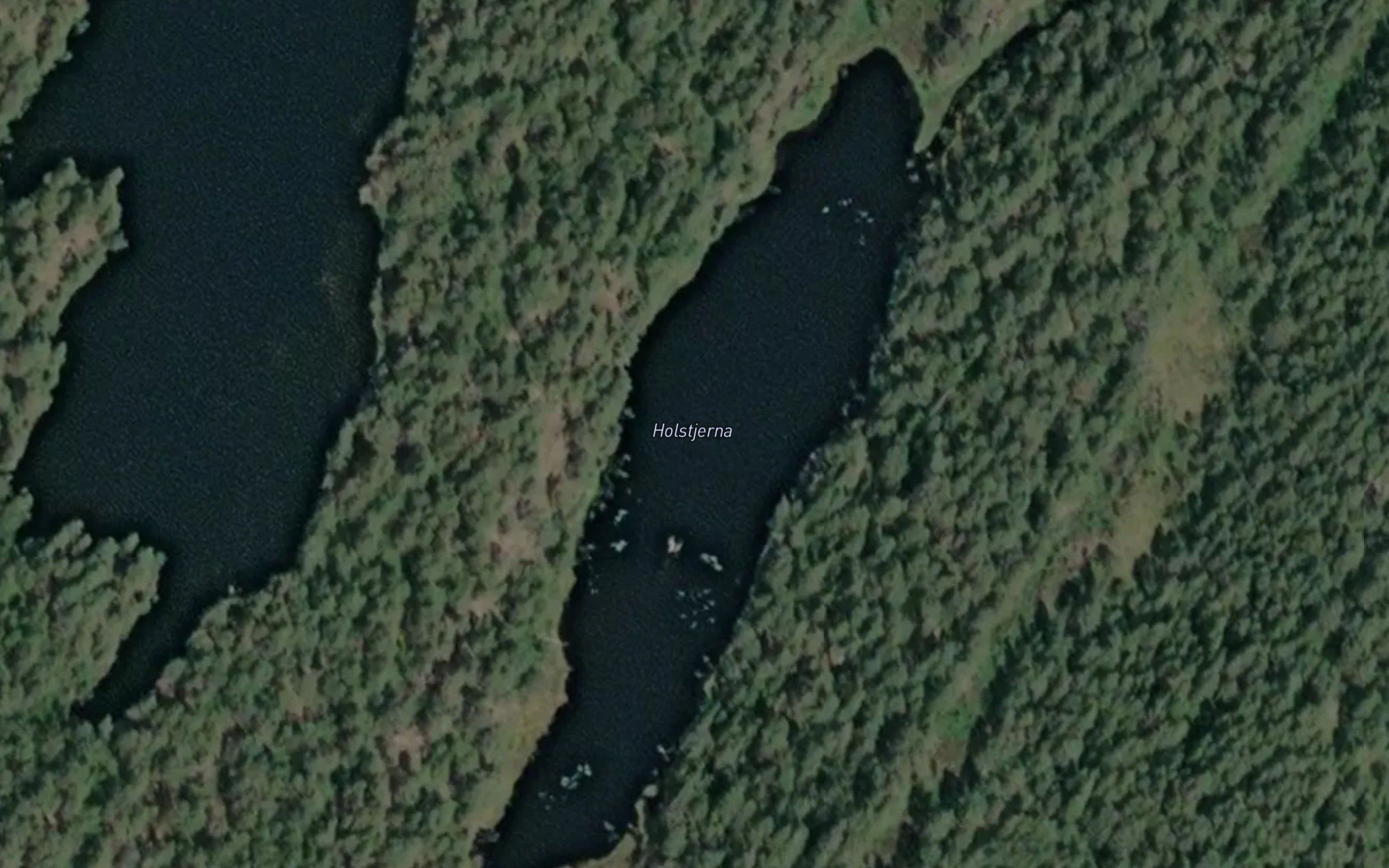 Holstjerna