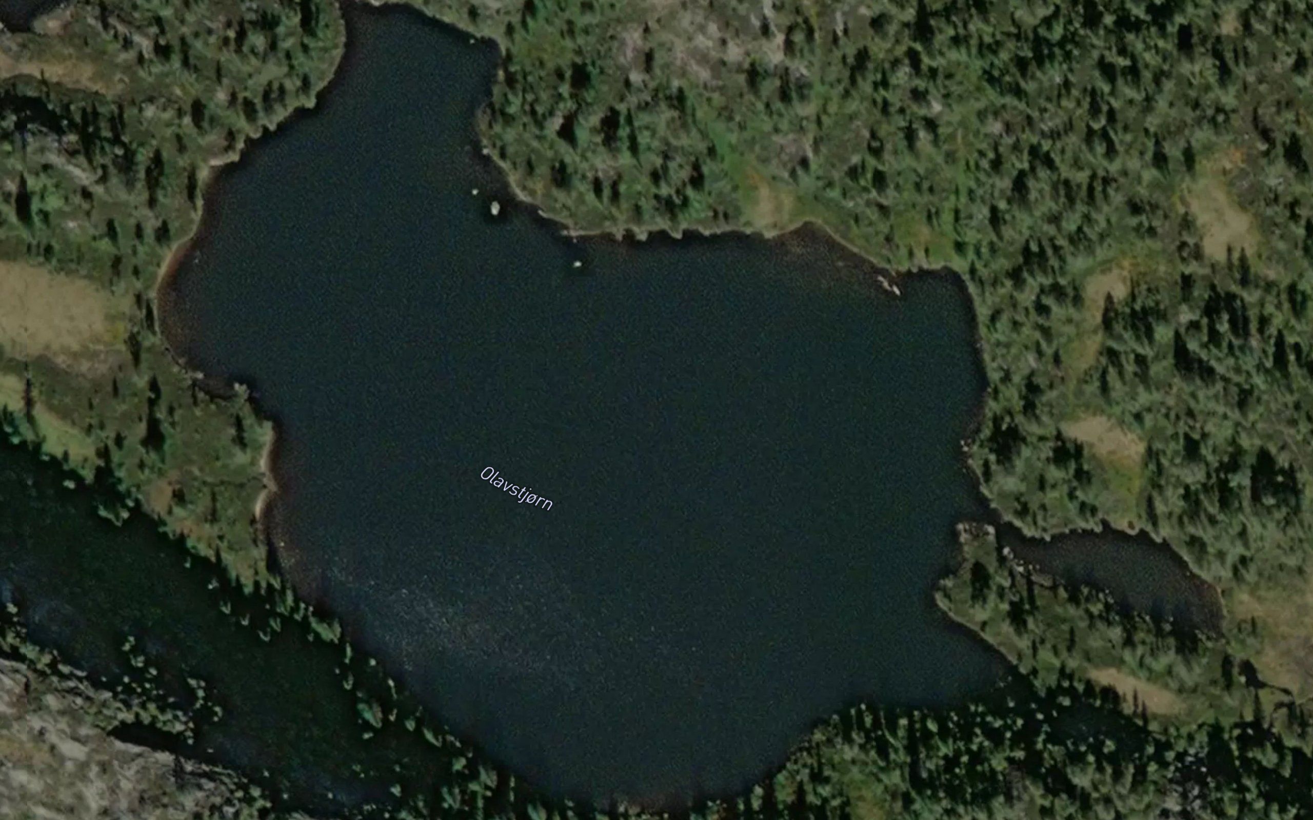 Olavstjorn