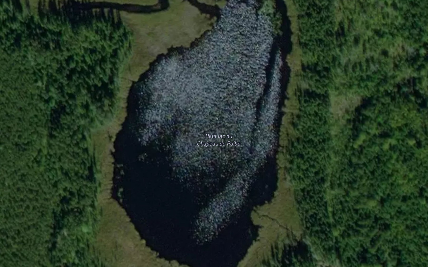 Satellite map of the Petit lac du Chapeau de Paille