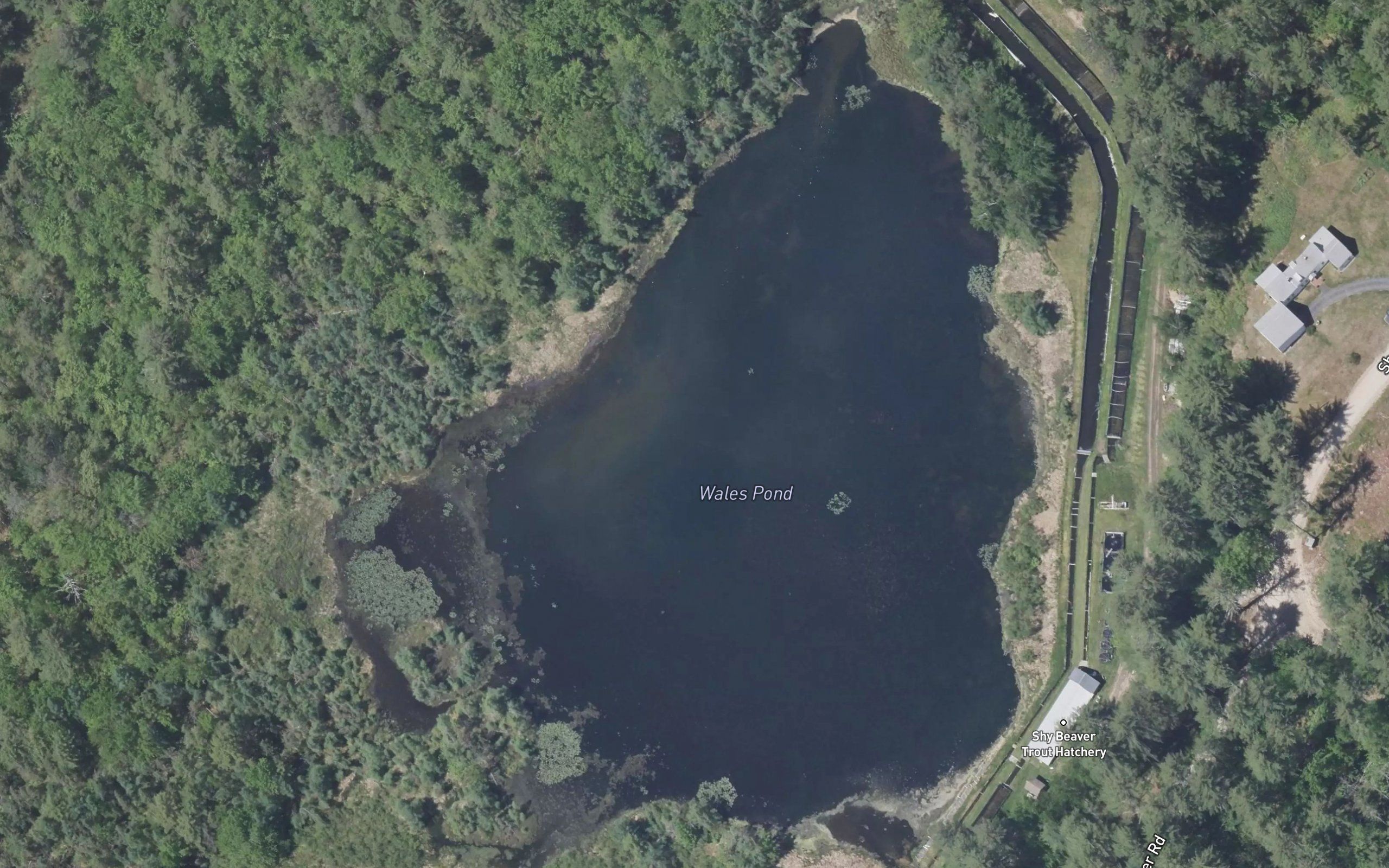 Wales Pond