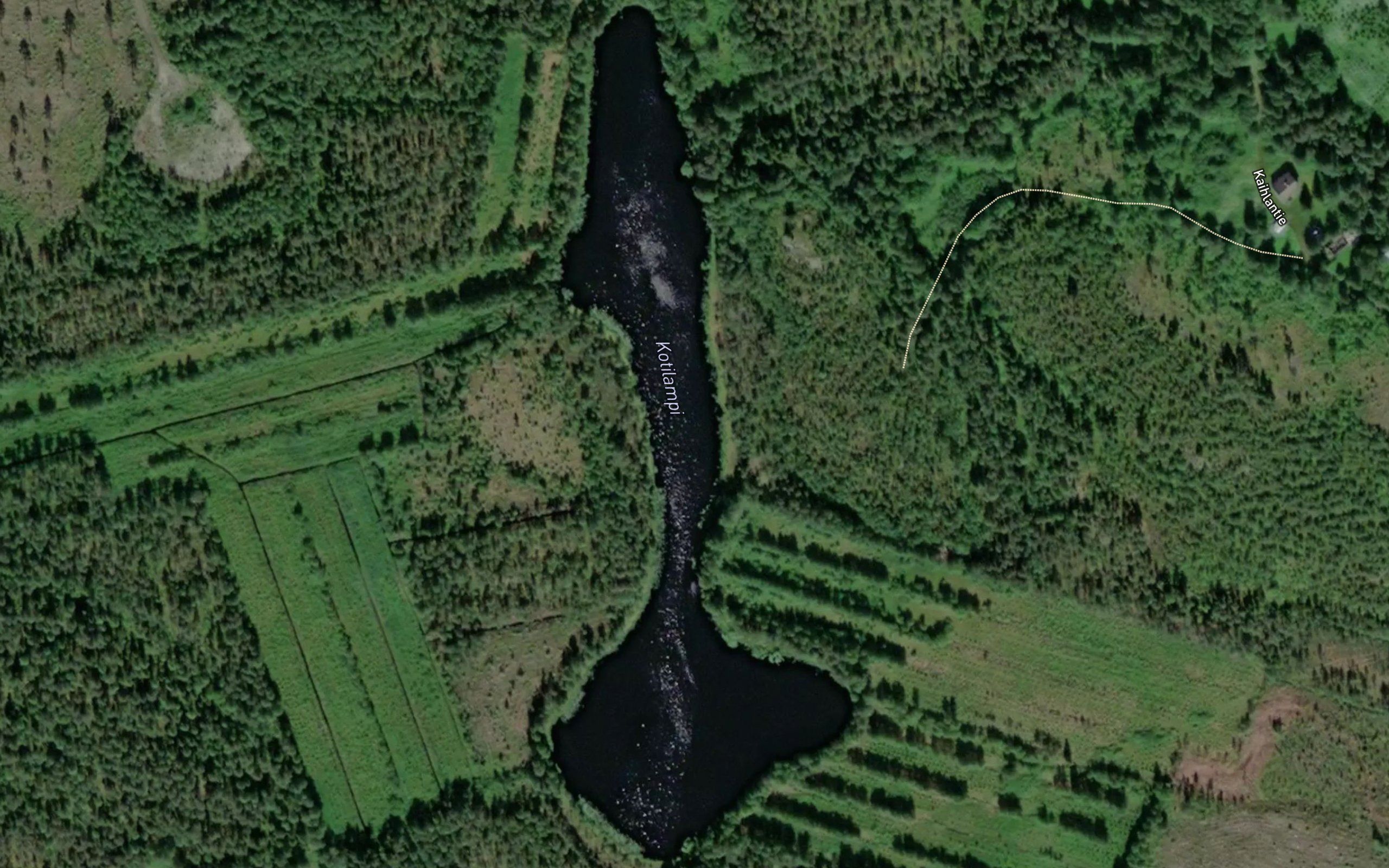 Kotilampi