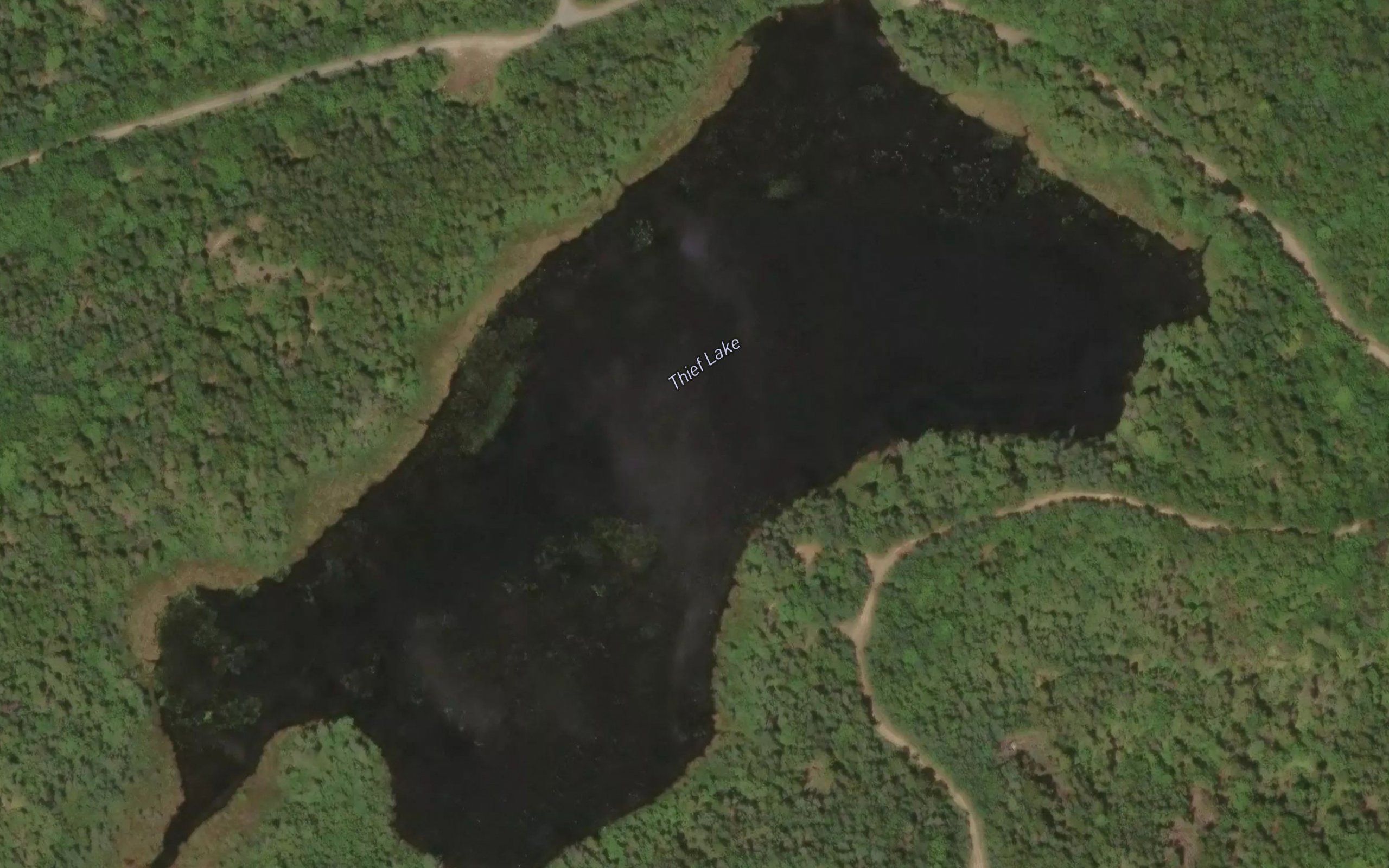 Thief Lake
