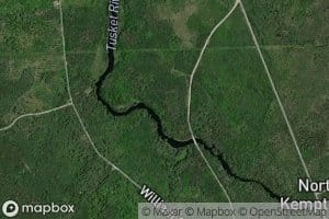 Tumbler Lake Brook