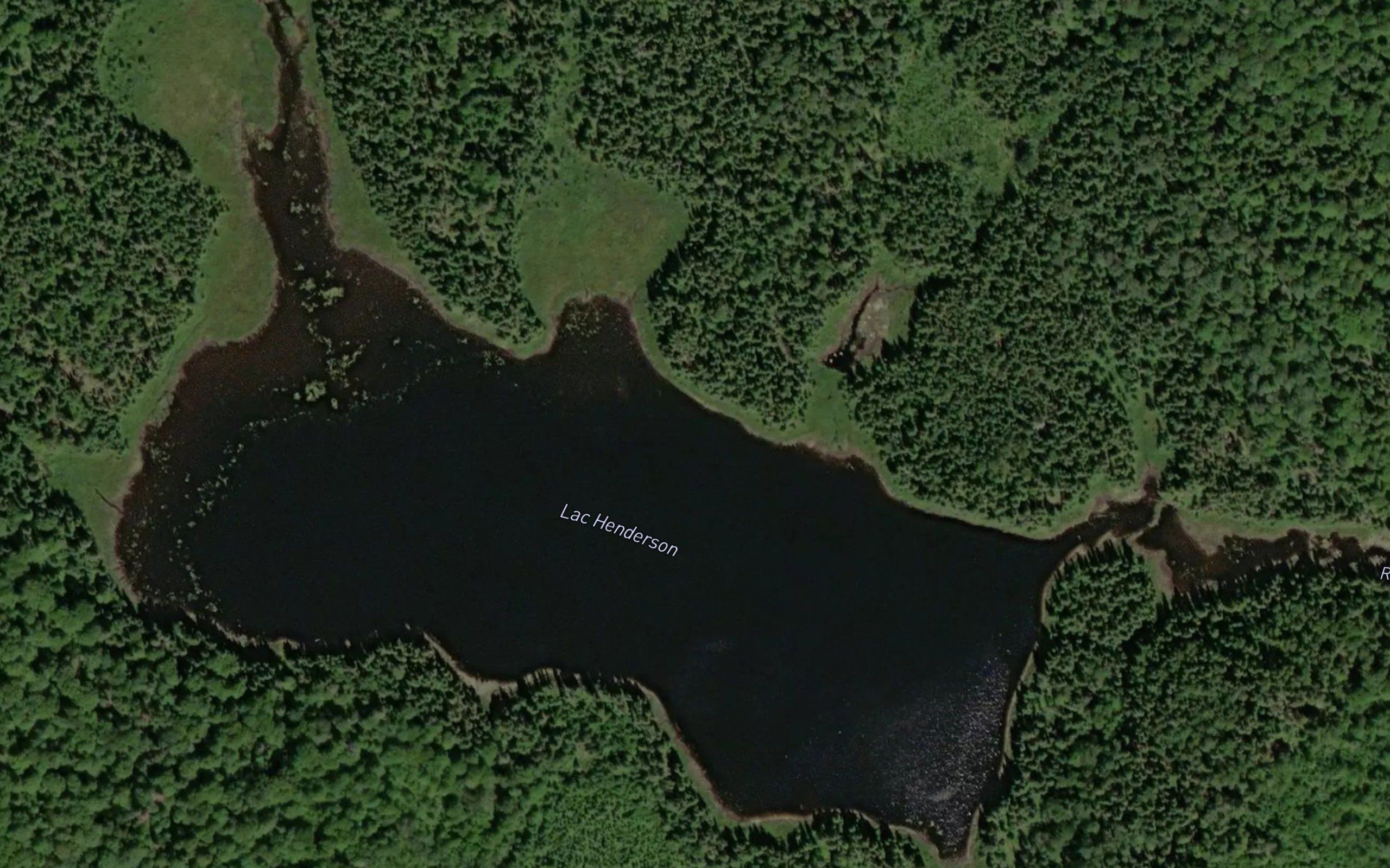 Lac Henderson