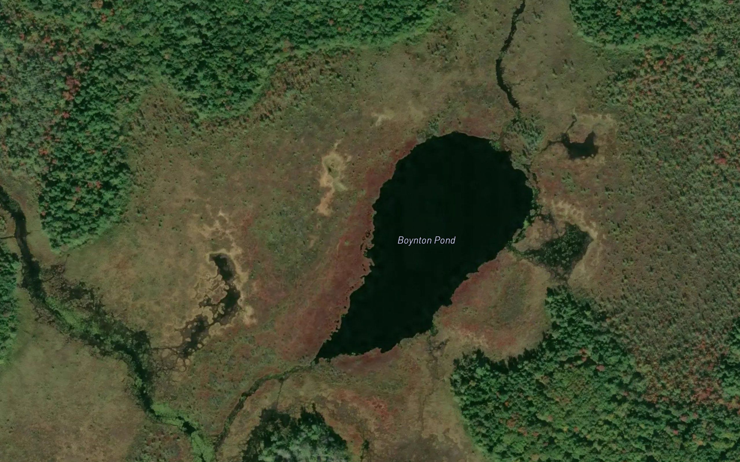 Boynton Pond