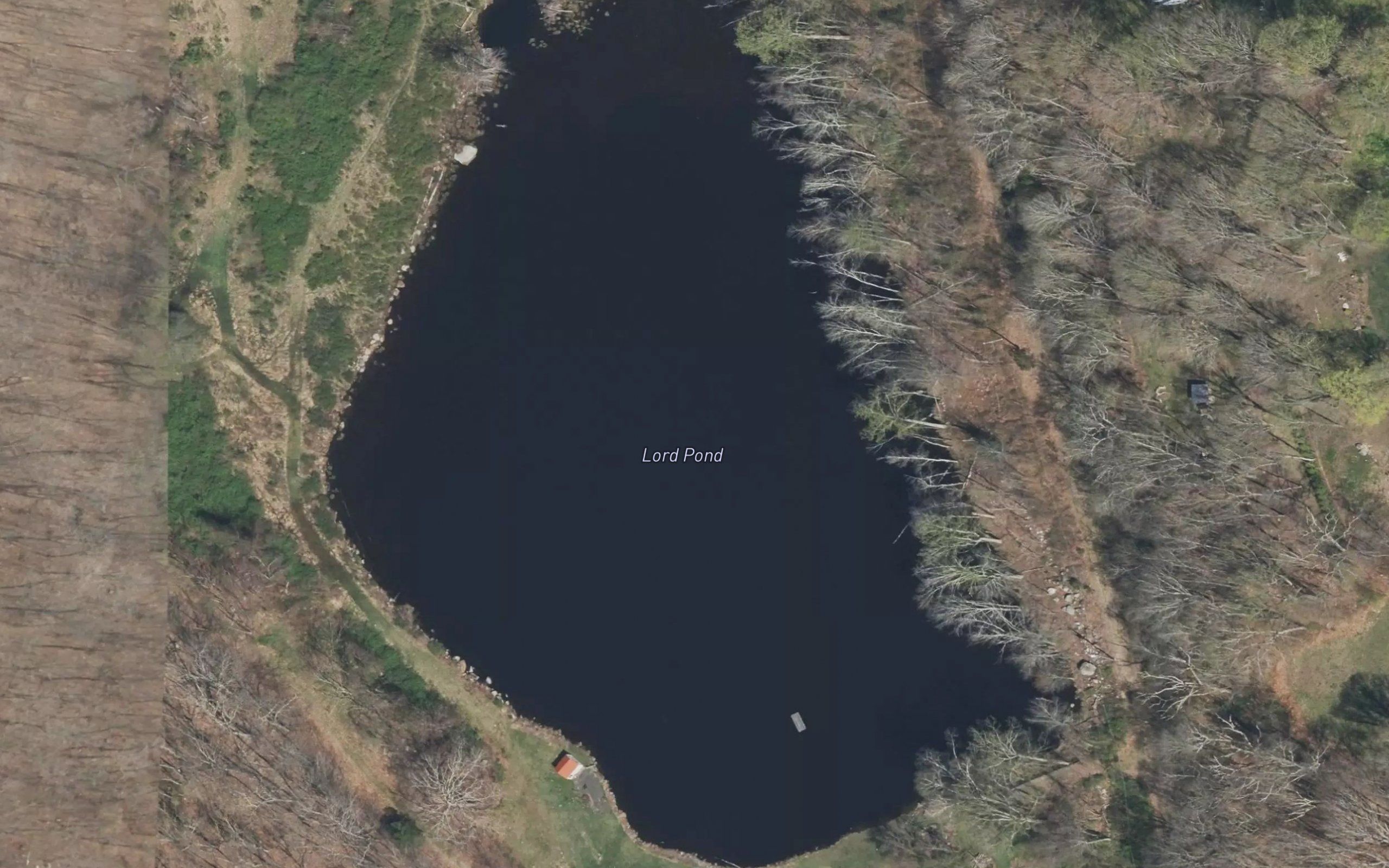 Lord Pond