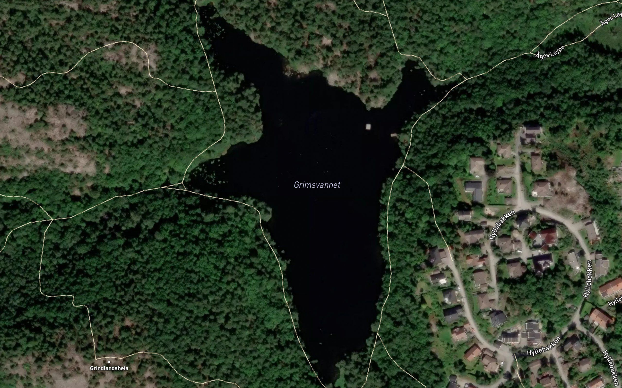 Grimsvannet