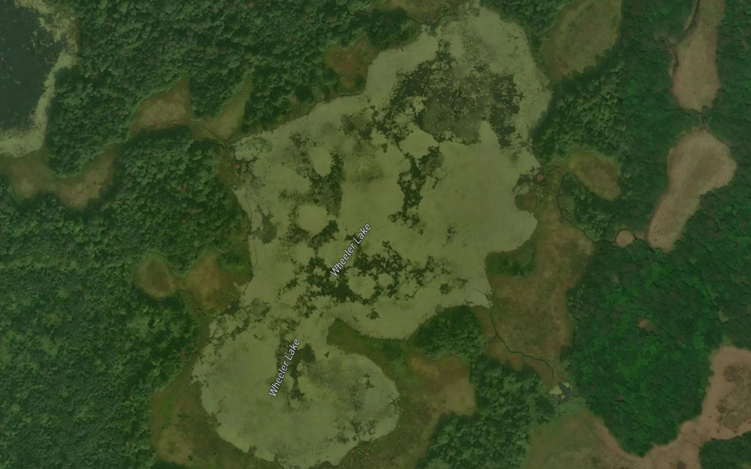 Wheeler Lake