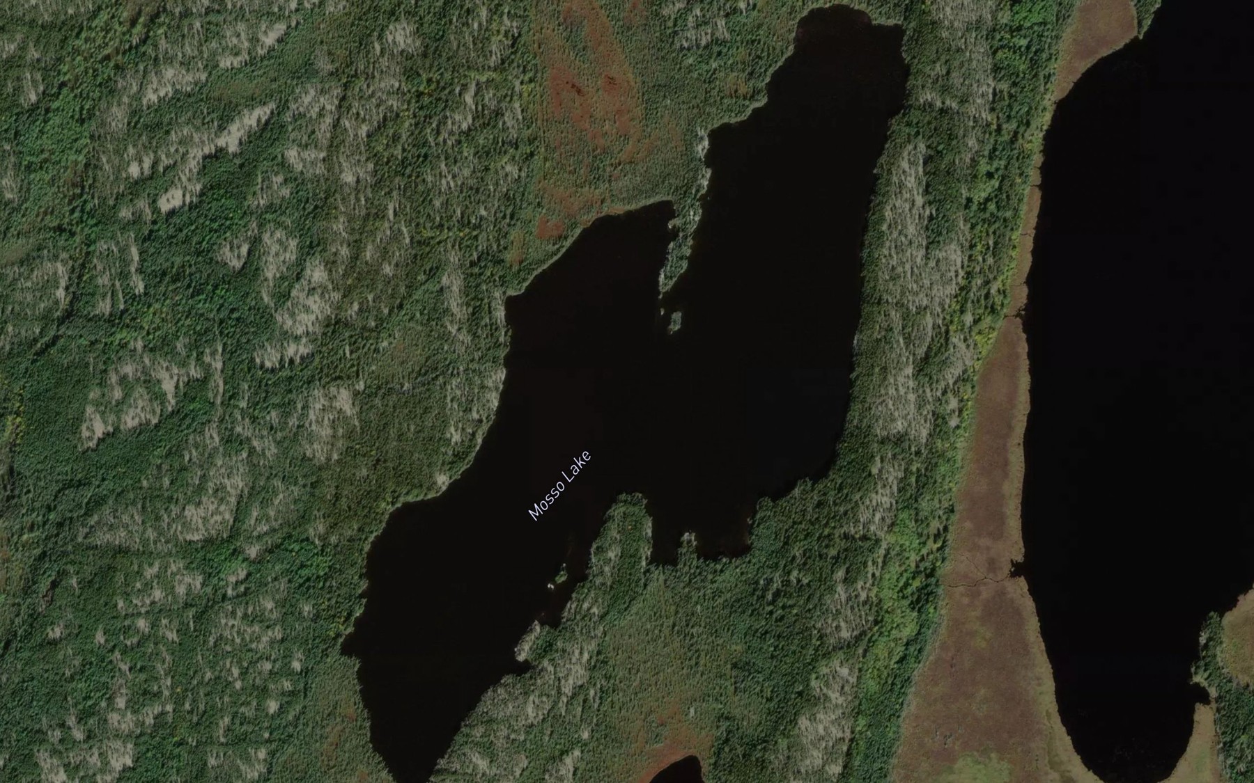Satellite map of the Mosso Lake