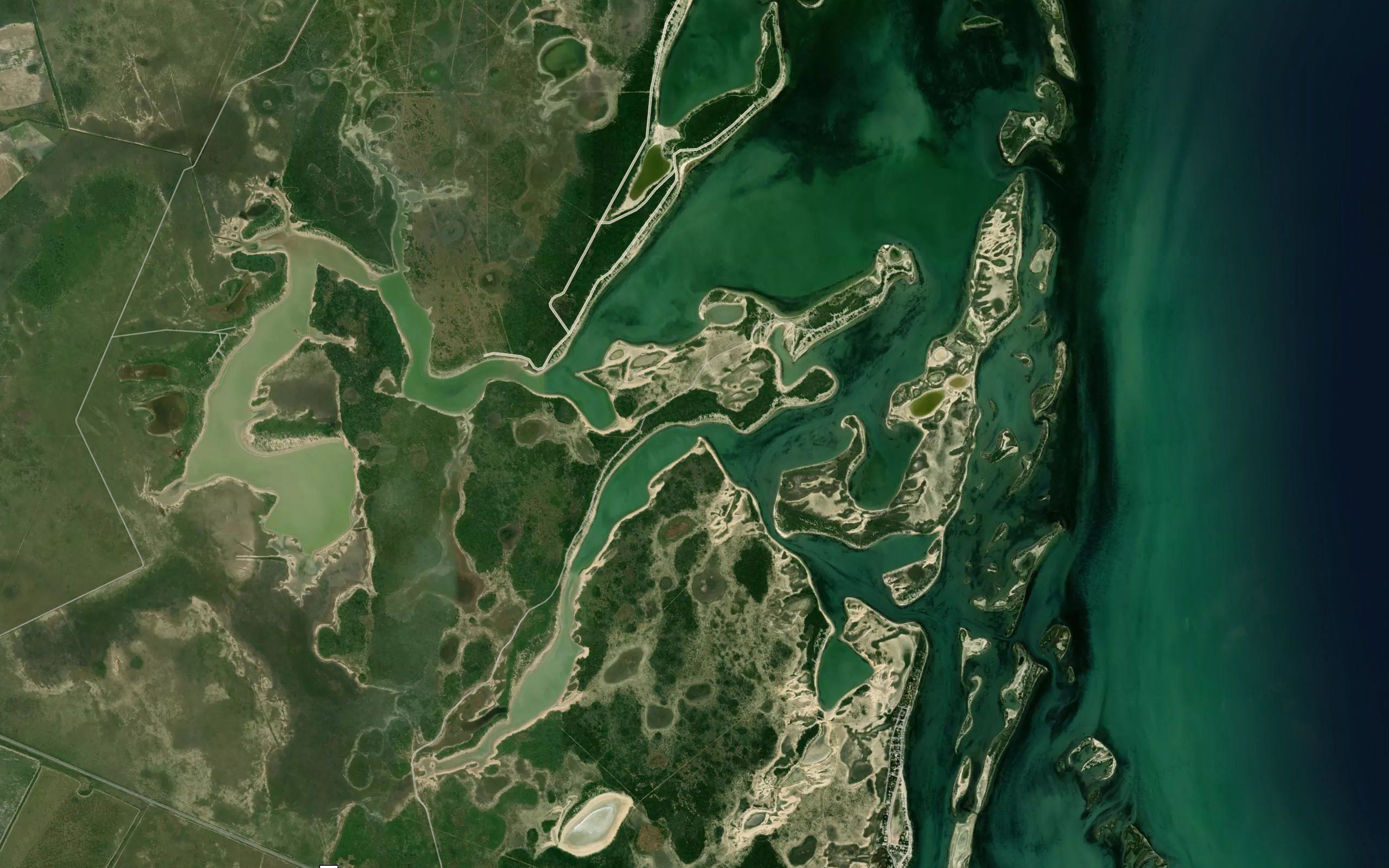 Estero El Cureno