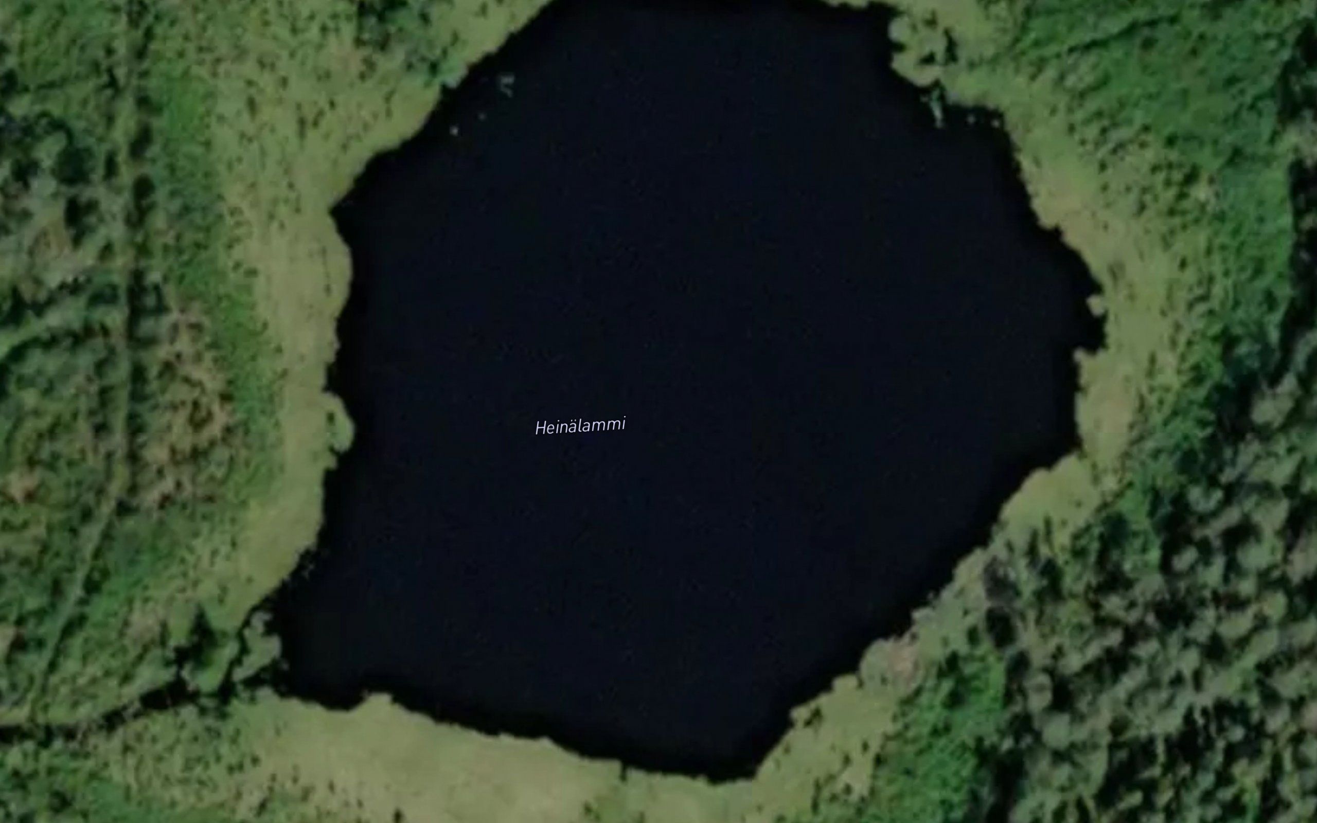 Heinalammi