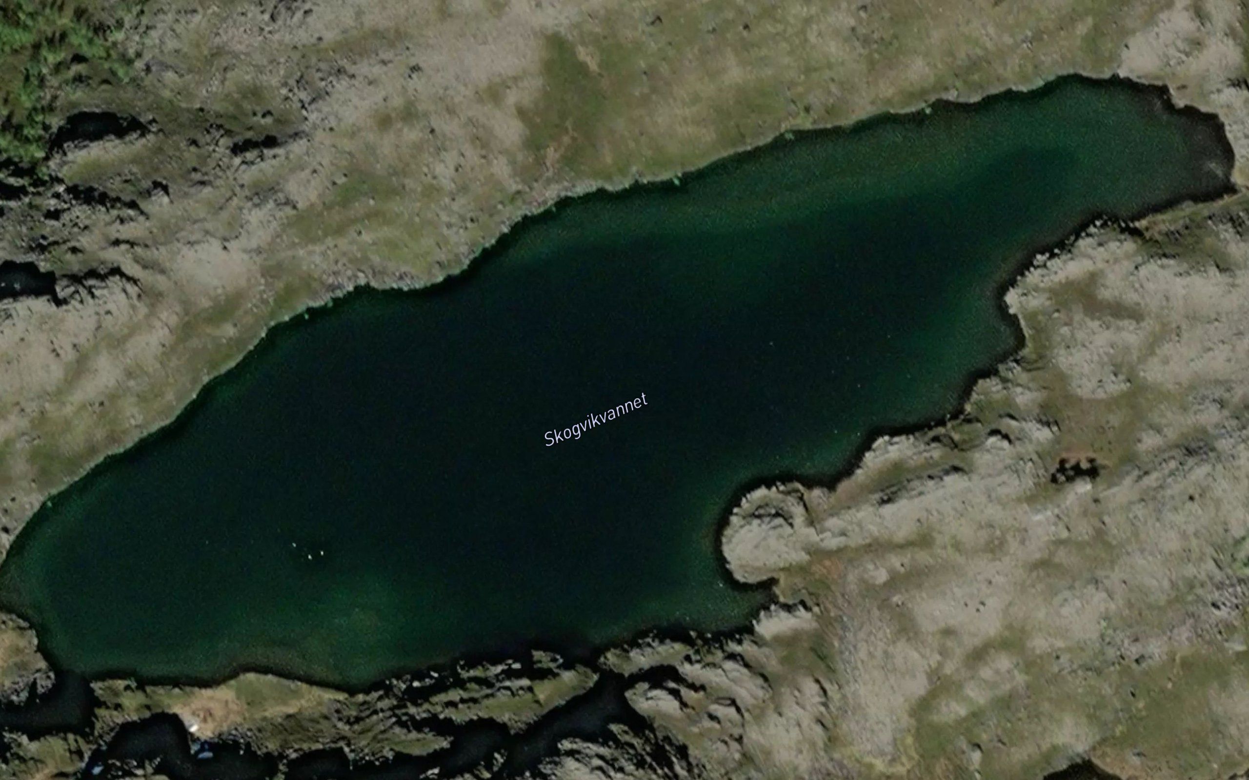 Skogvikvatnet