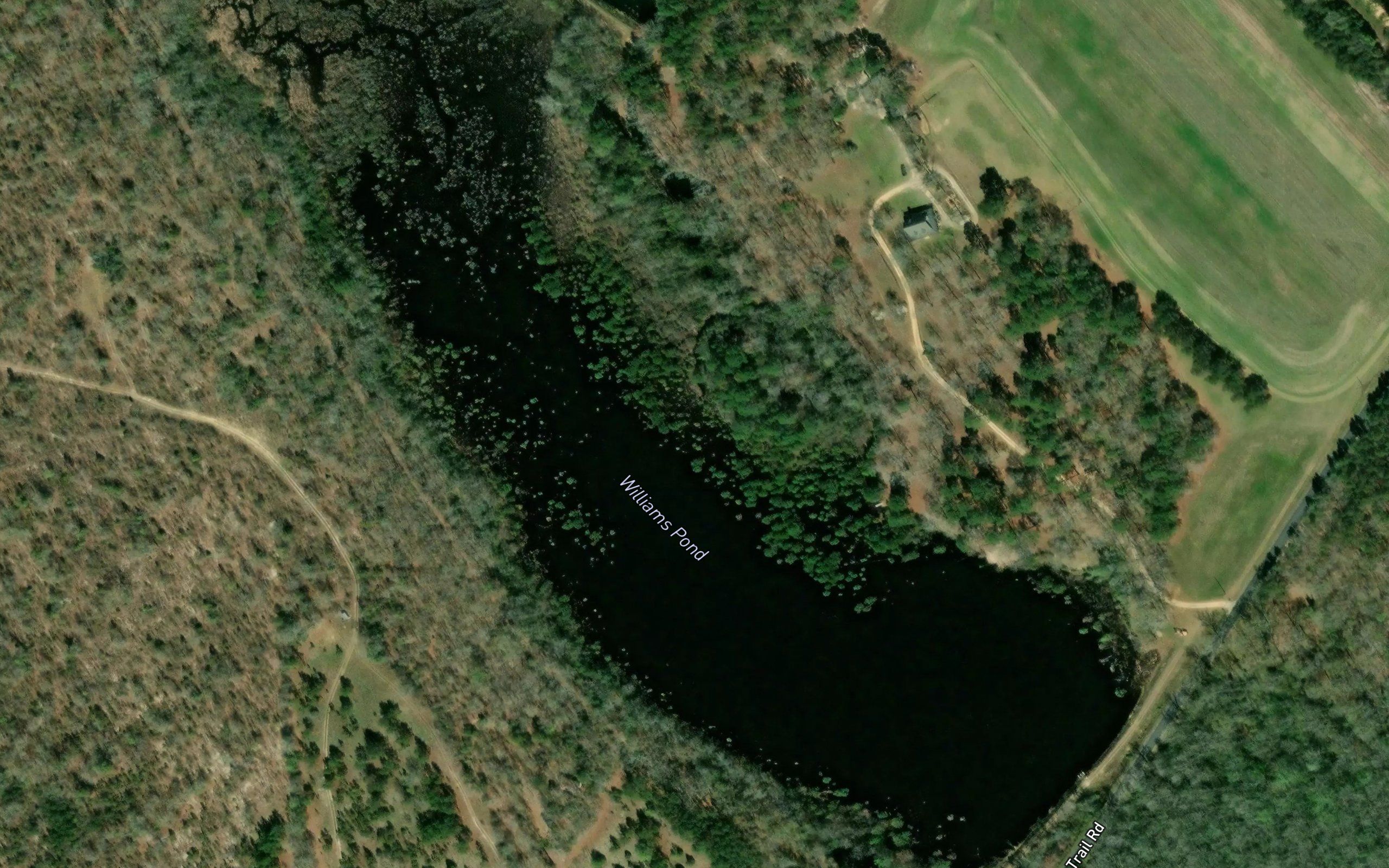 Williams Pond