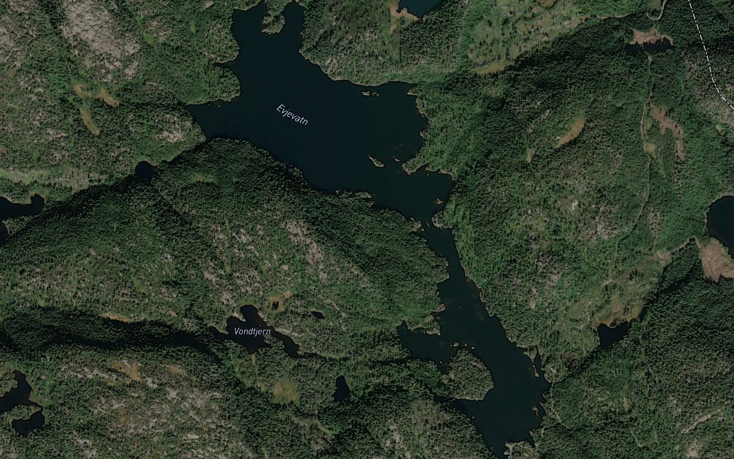 Evjevannet