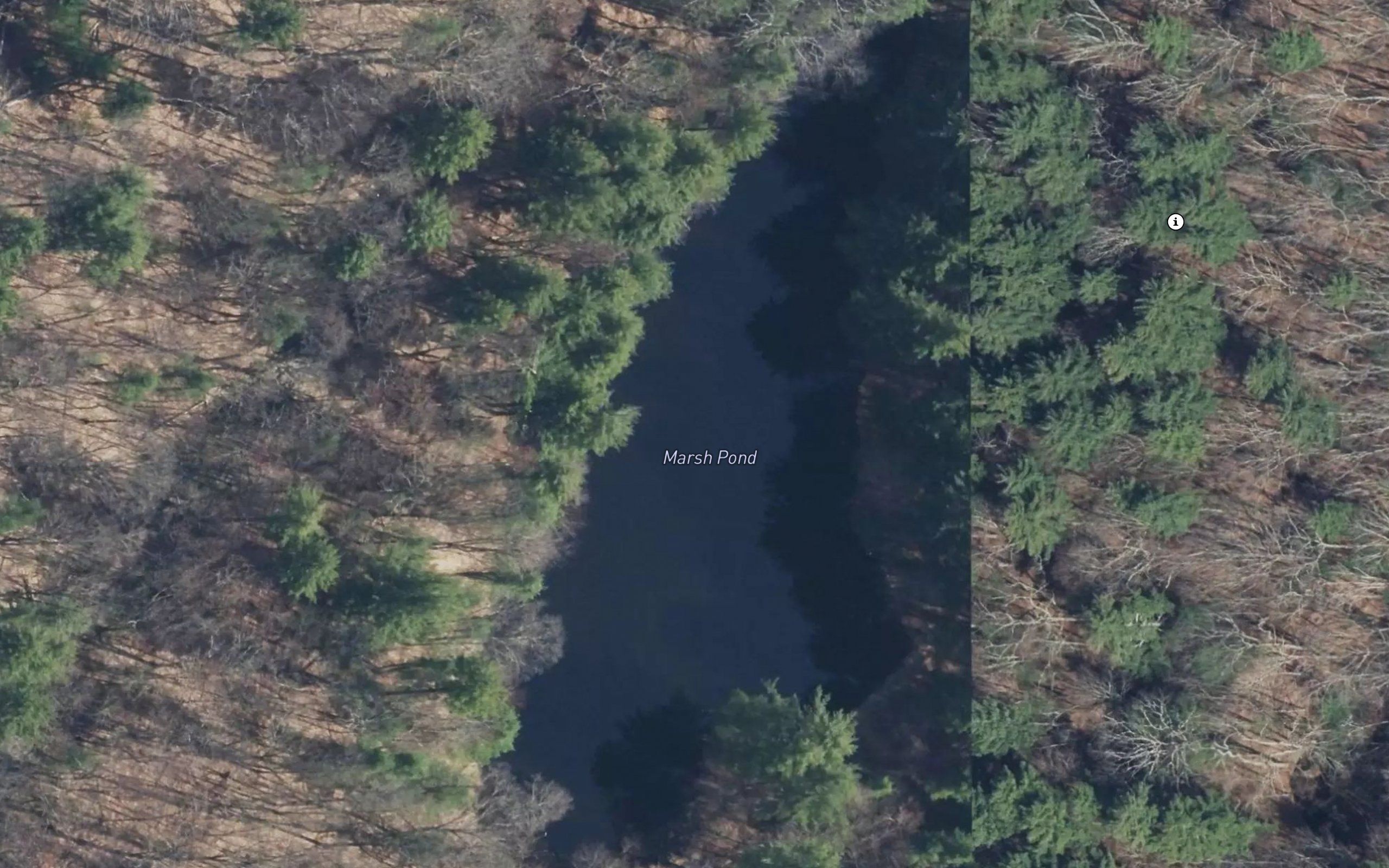 Marsh Pond