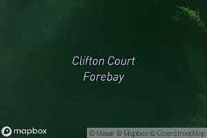 Clifton Court Forebay