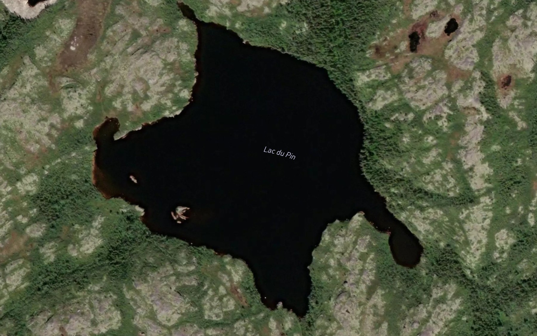 Satellite map of the Lac du Pin