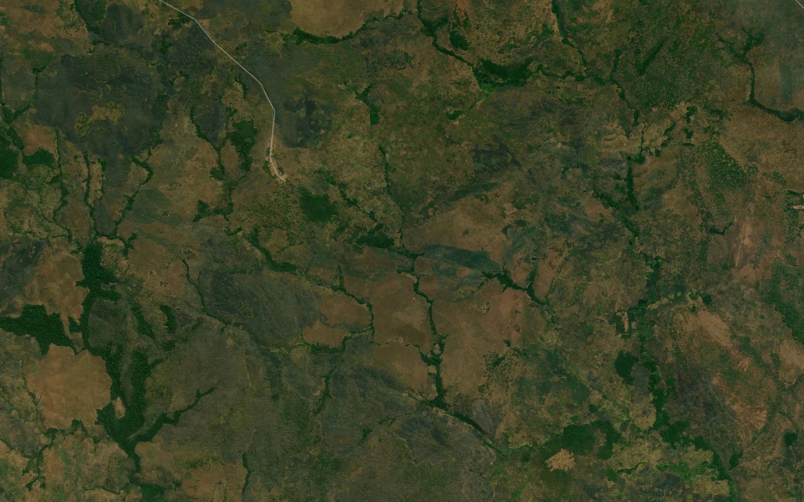 Kasala