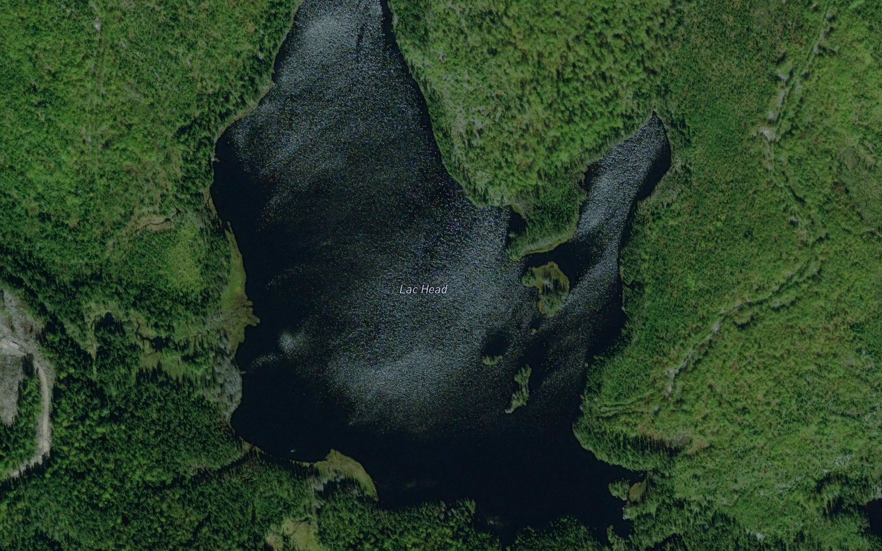Satellite map of the Lac Head