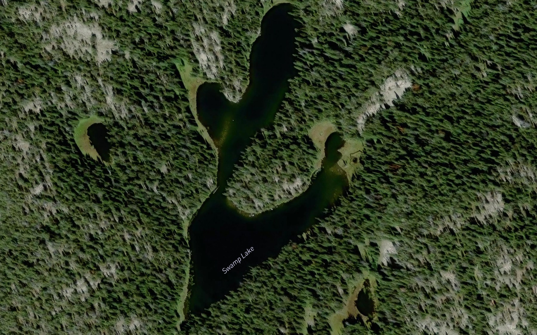 Satellite map of the Swamp Lake