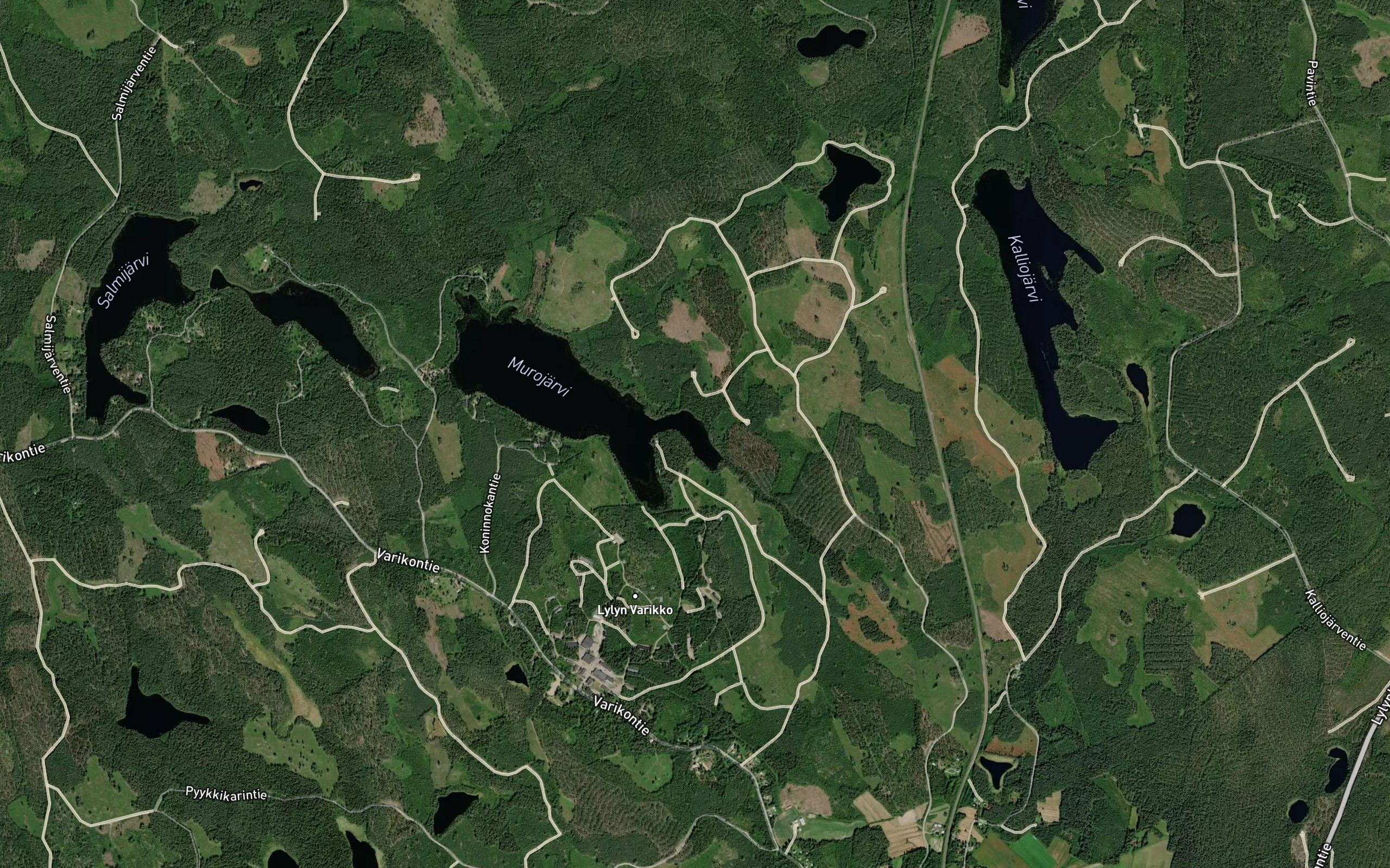 Pitkalahti