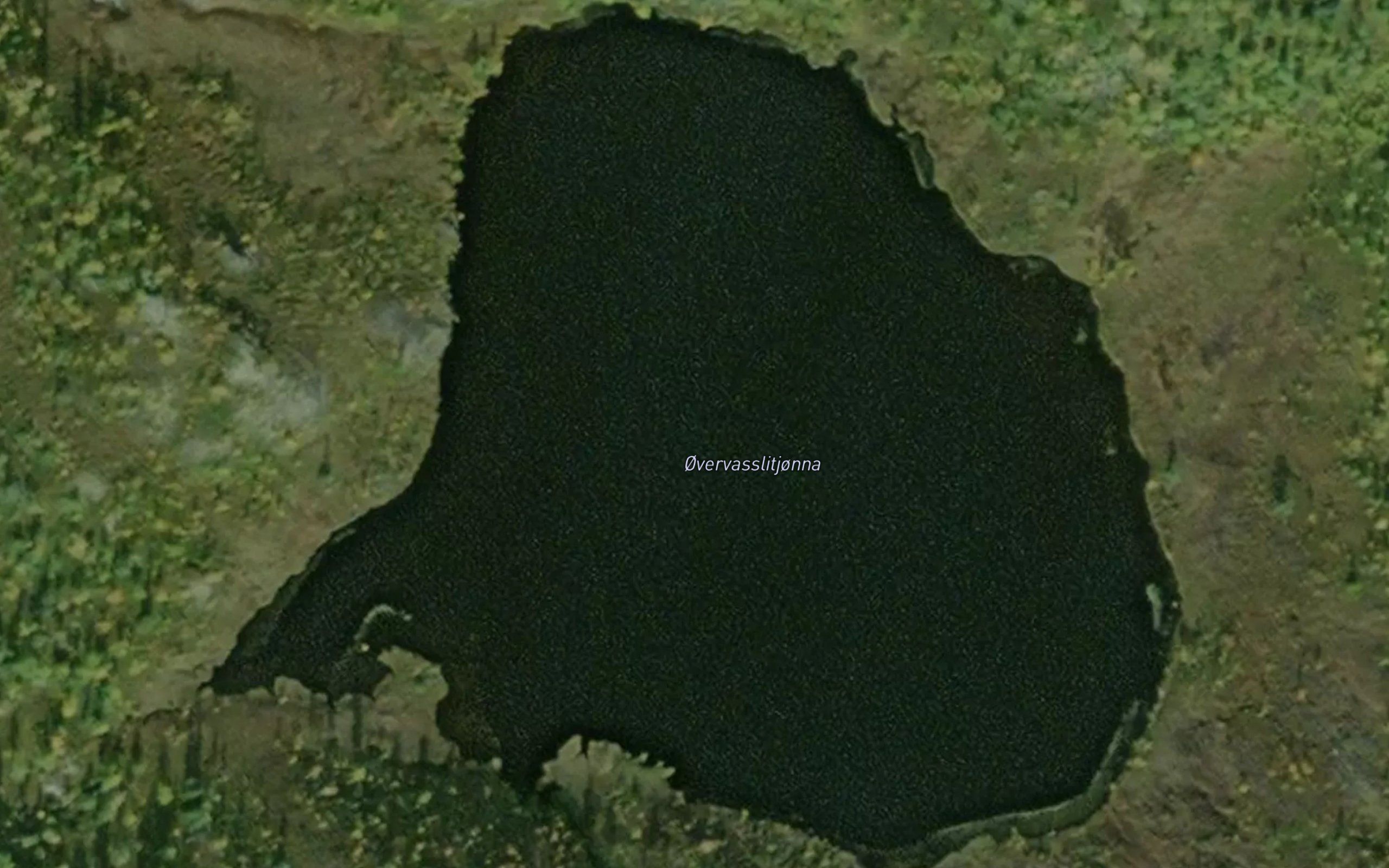 Nordvasslitjonna