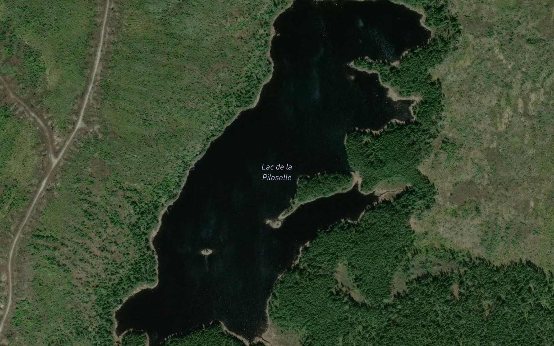 Satellite map of the Lac de la Piloselle