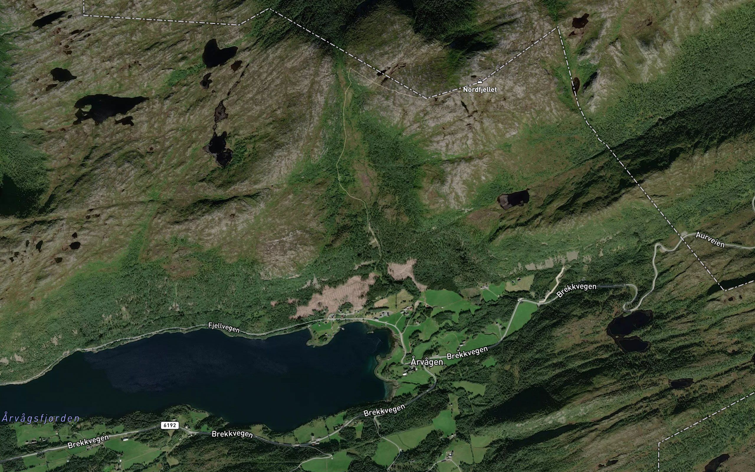 Buskarelva