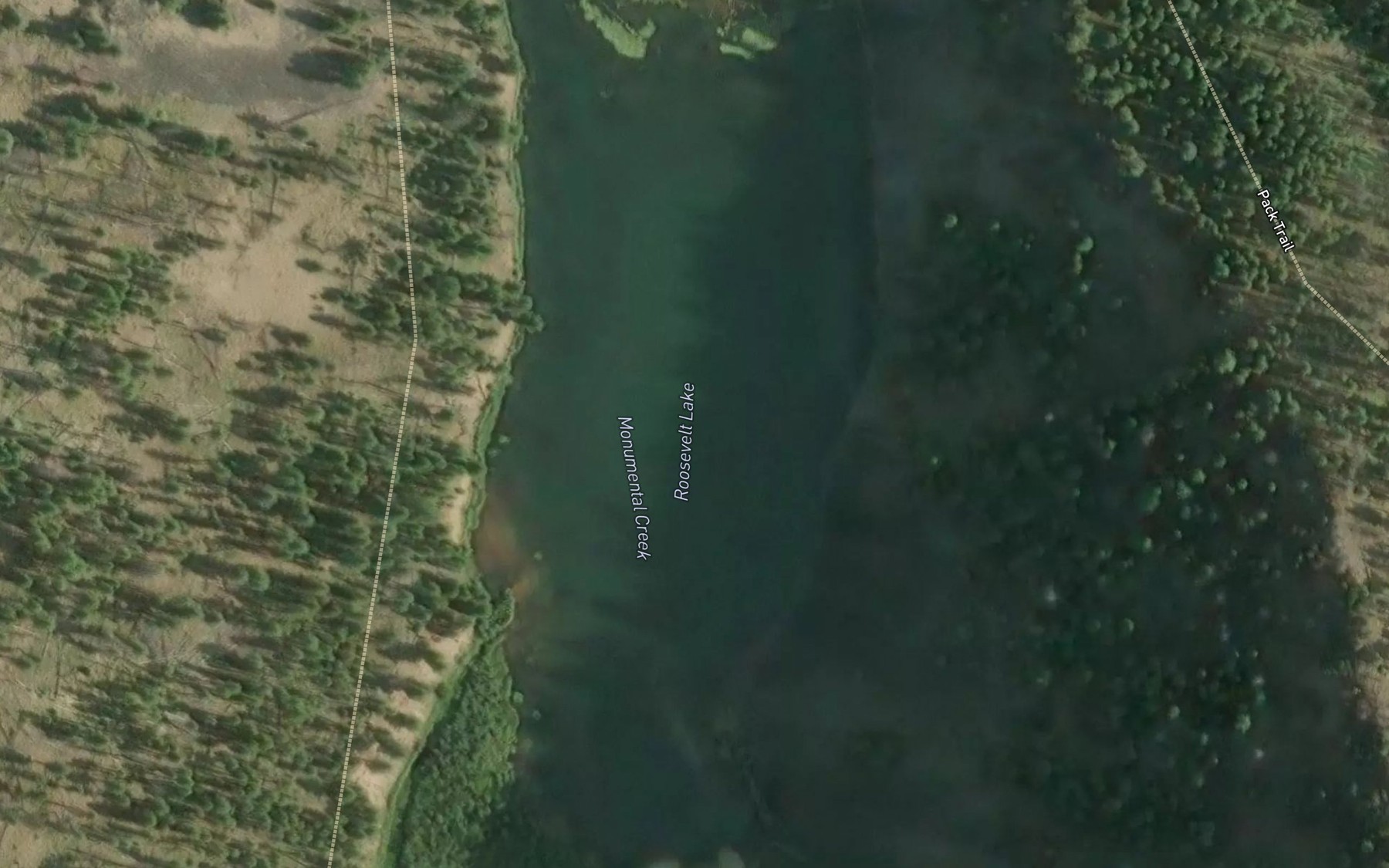 Satellite map of the Roosevelt Lake