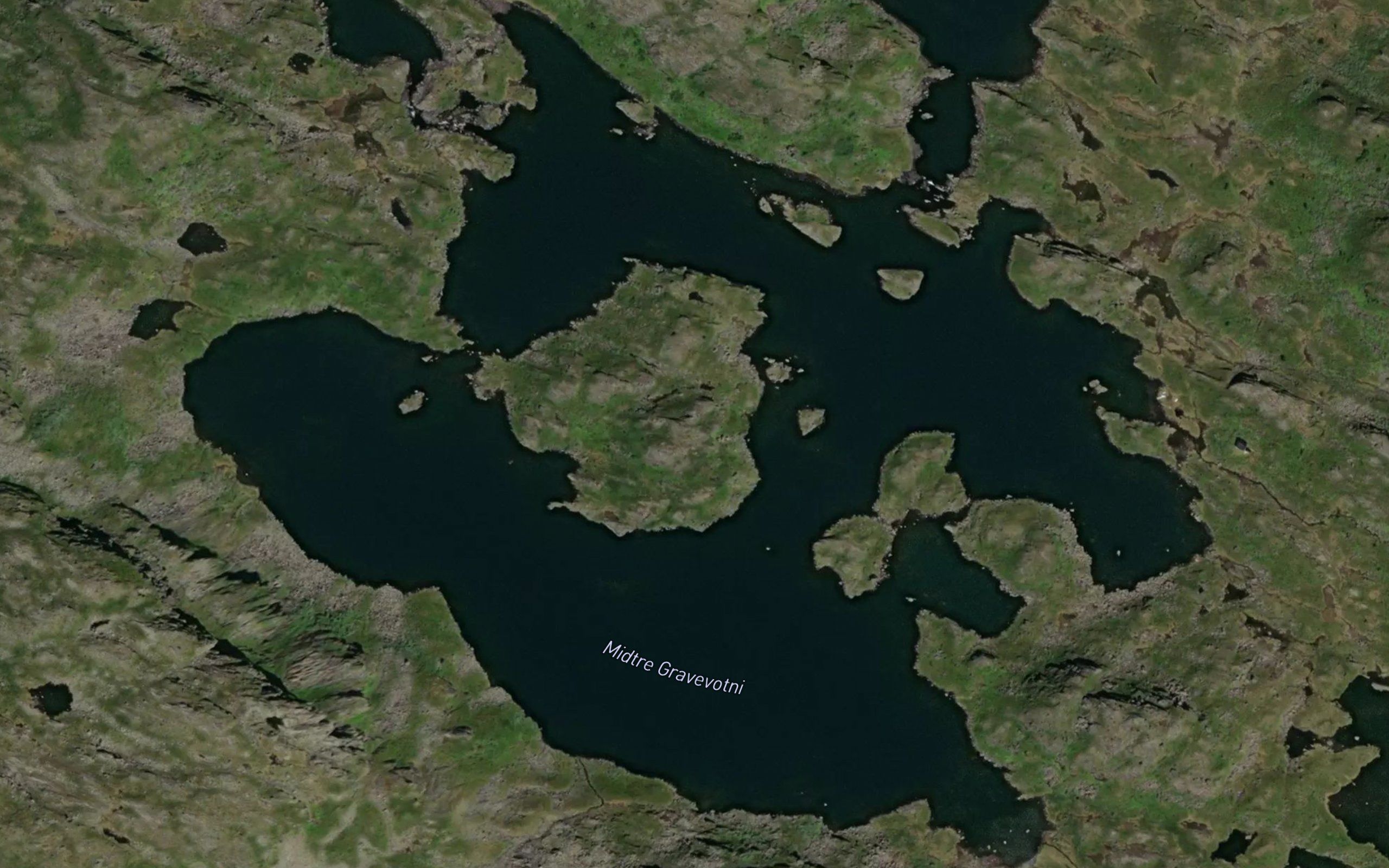 Gravevotni,midtre