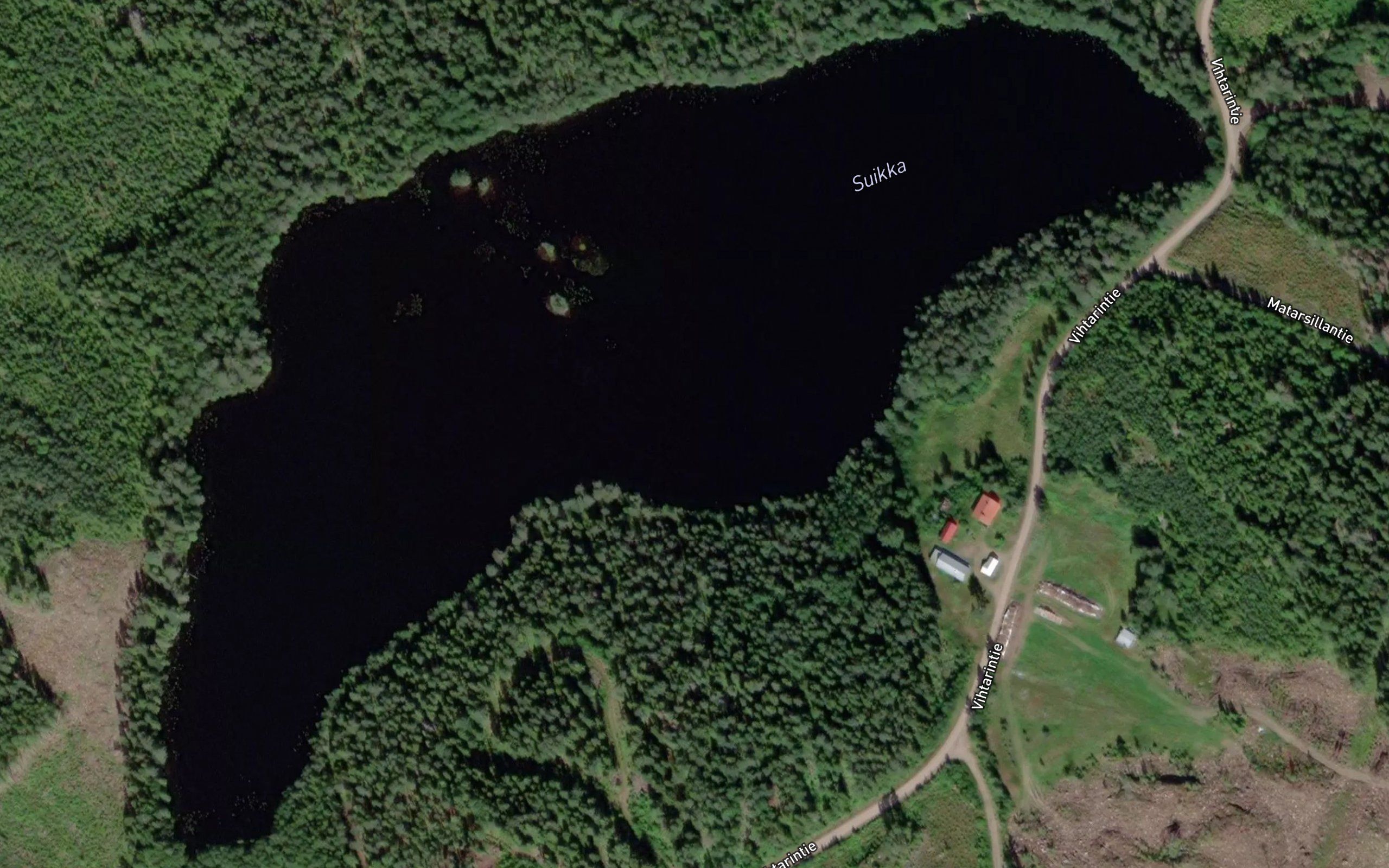 Suikka
