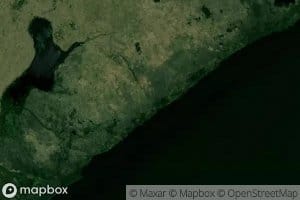 Bayou de Sauce