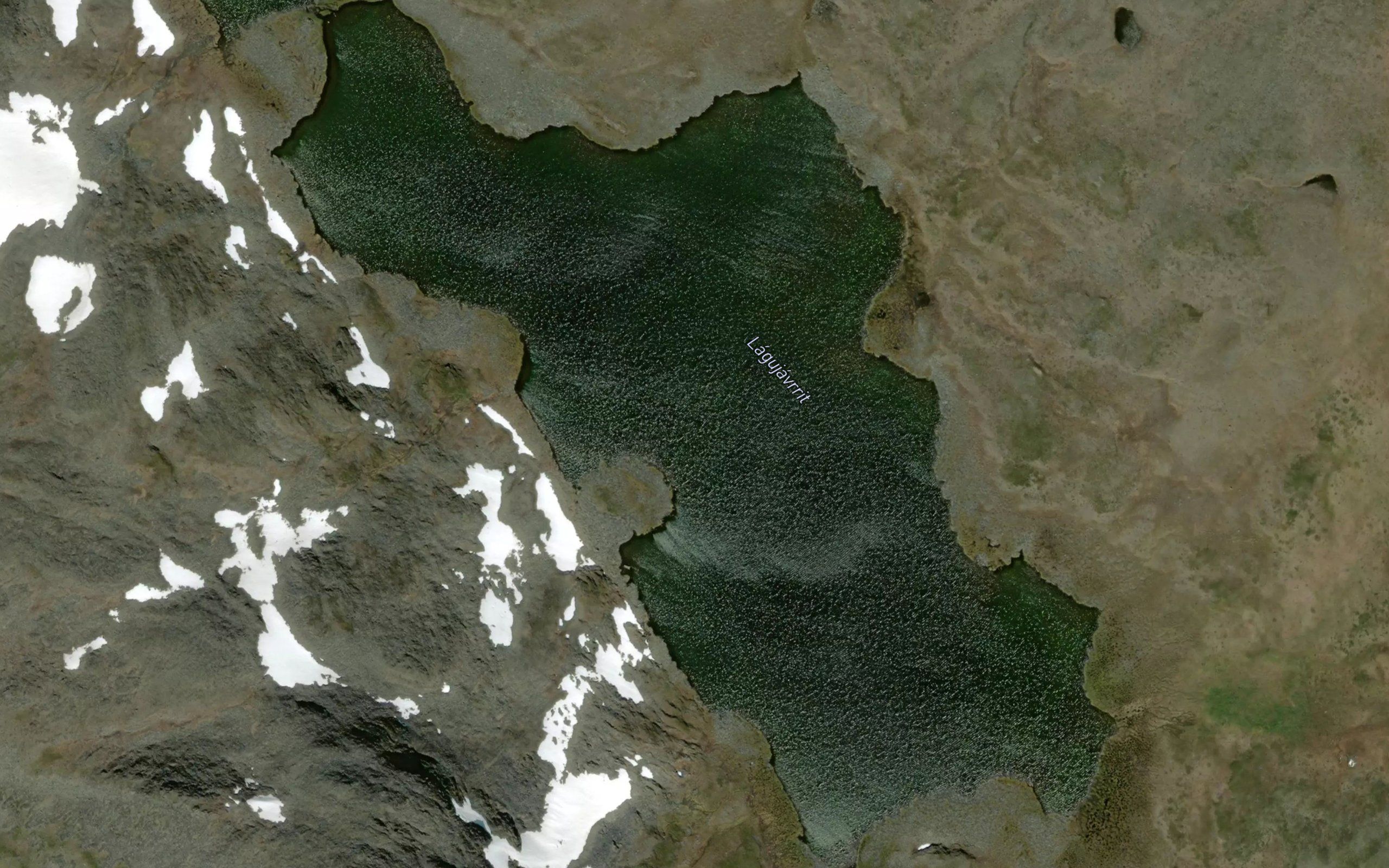 Lagojavri