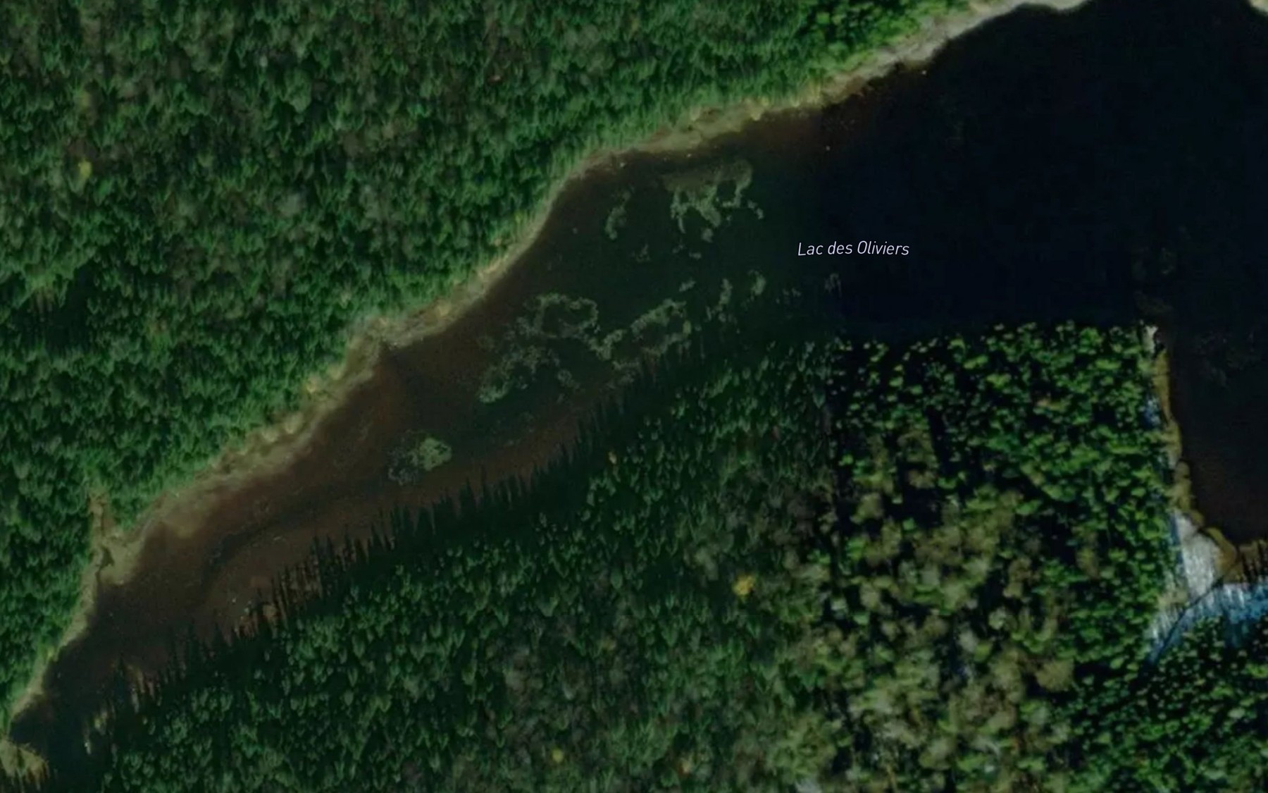 Satellite map of the Lac des Oliviers