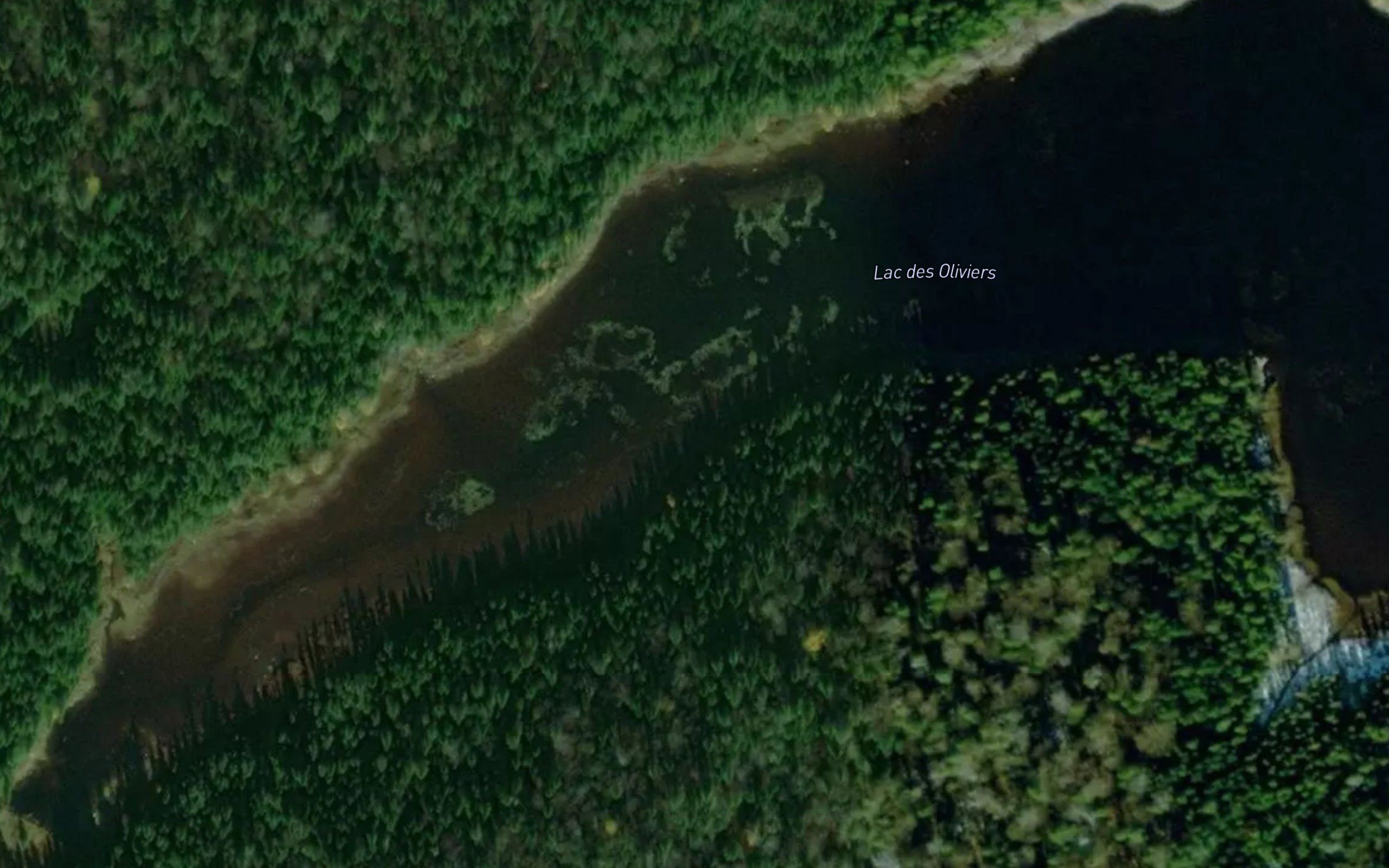 Lac des Oliviers