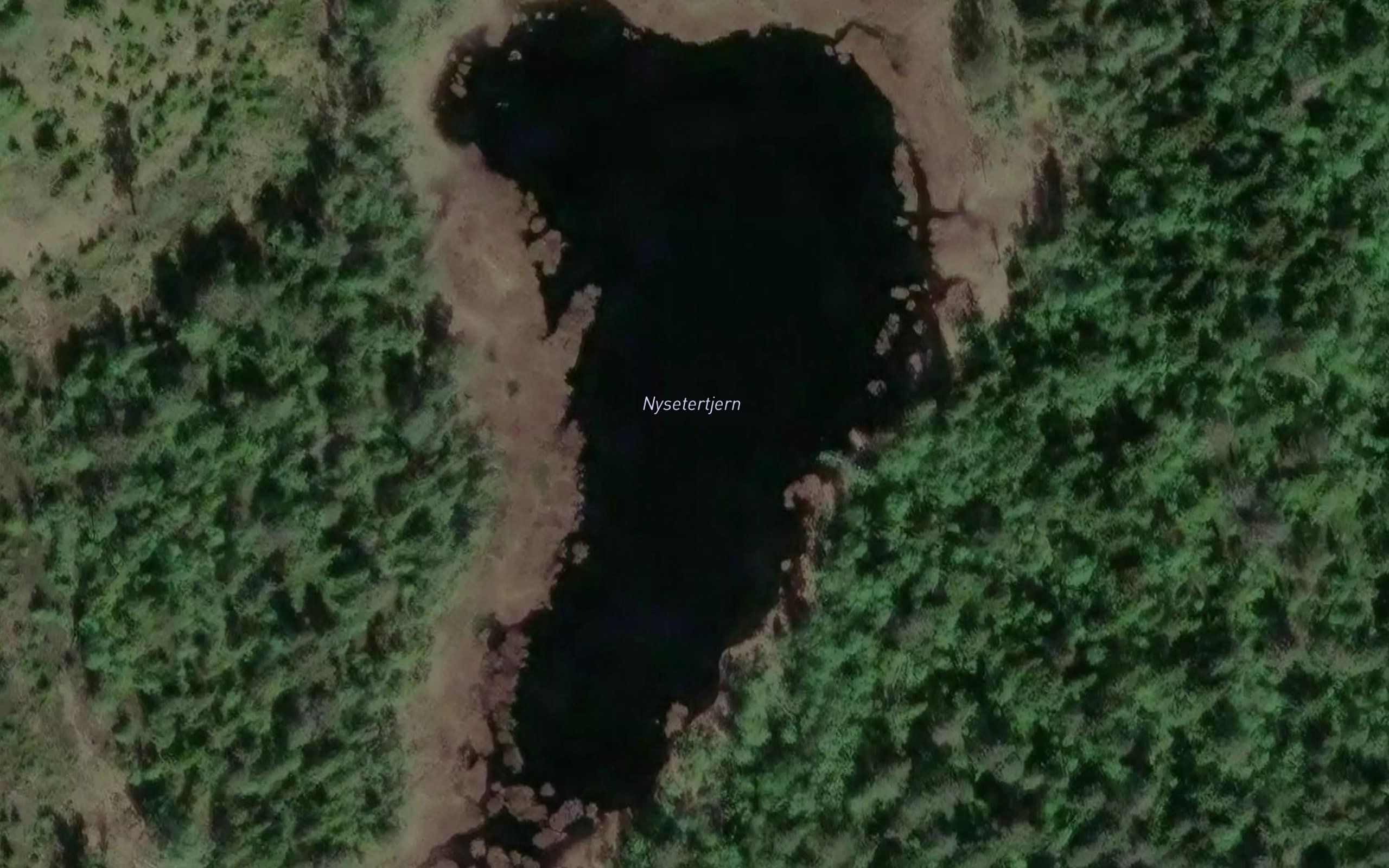 Nysetertjern