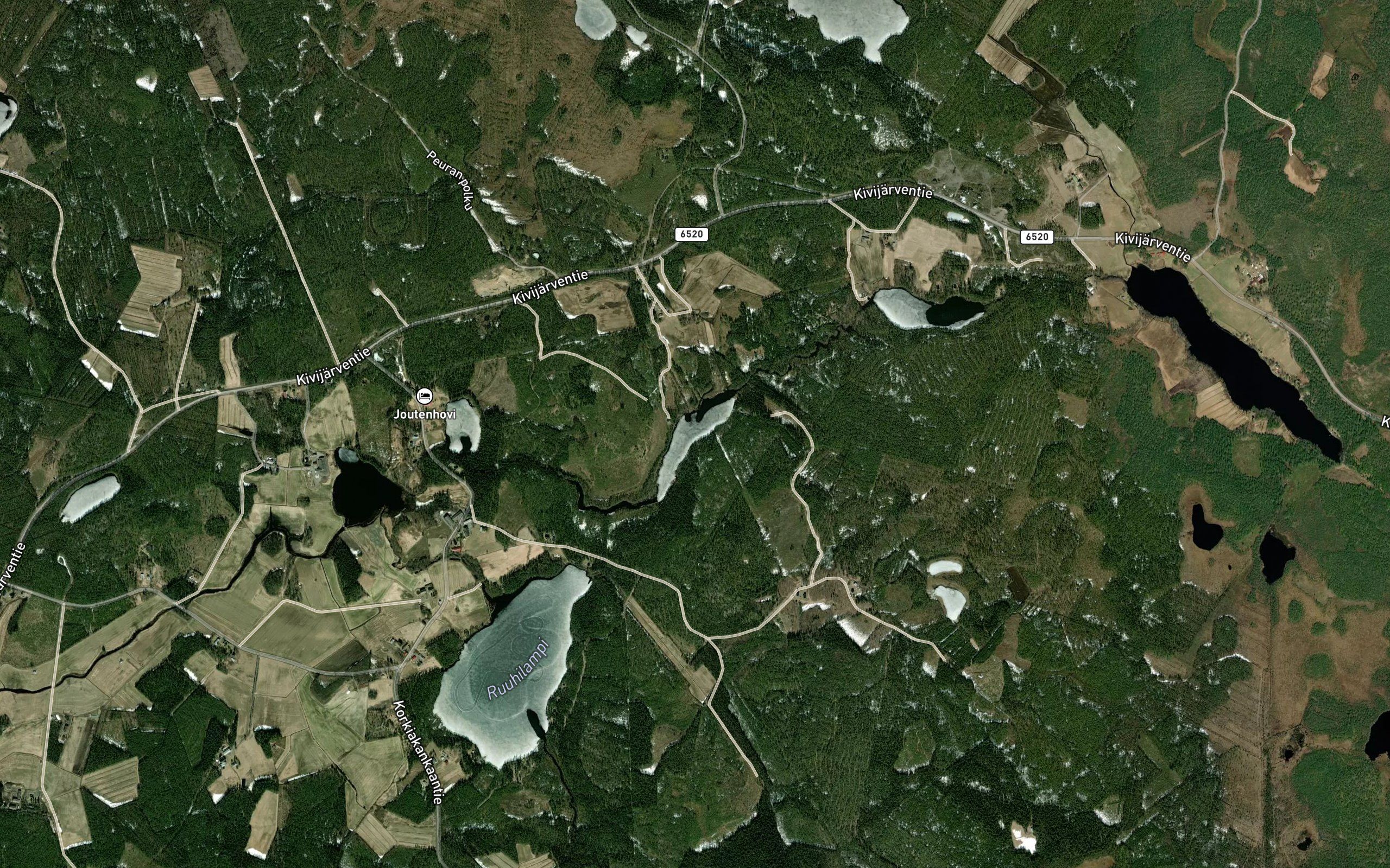 Pihlainen