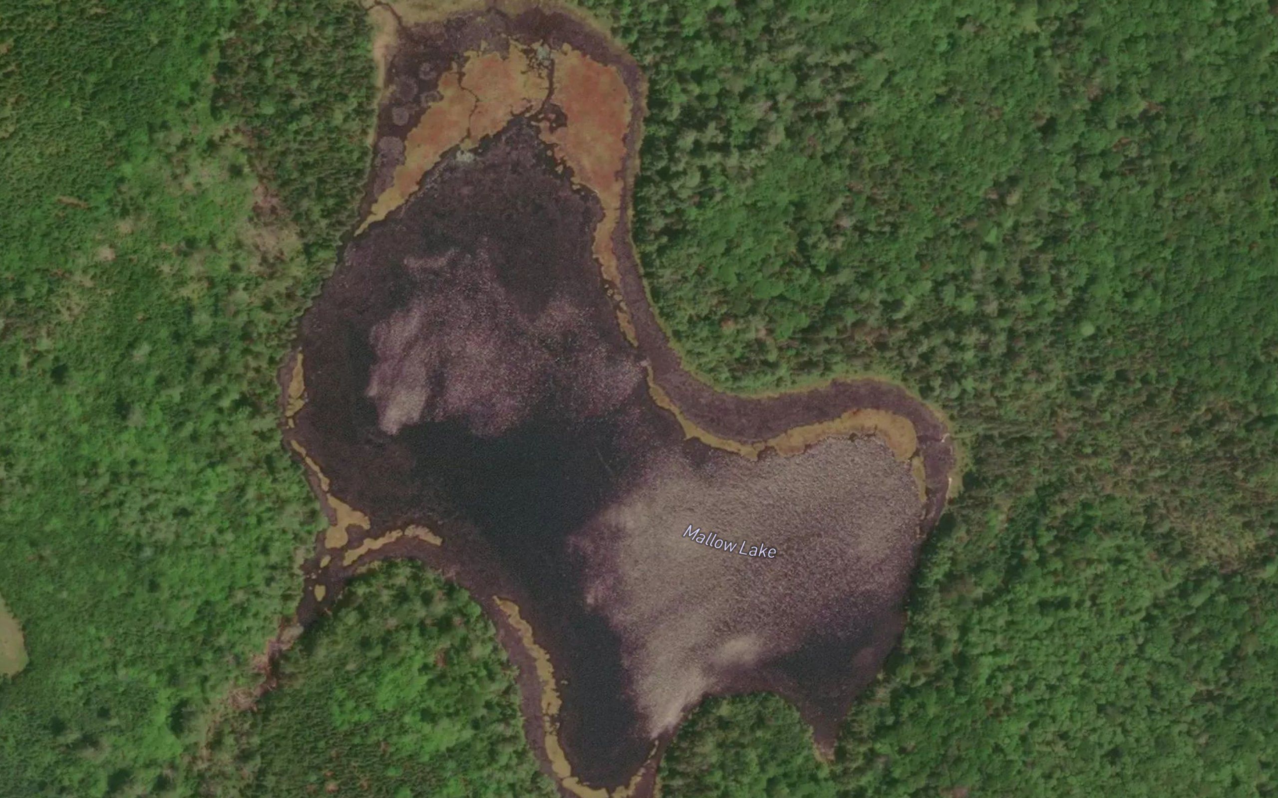 Mallow Lake